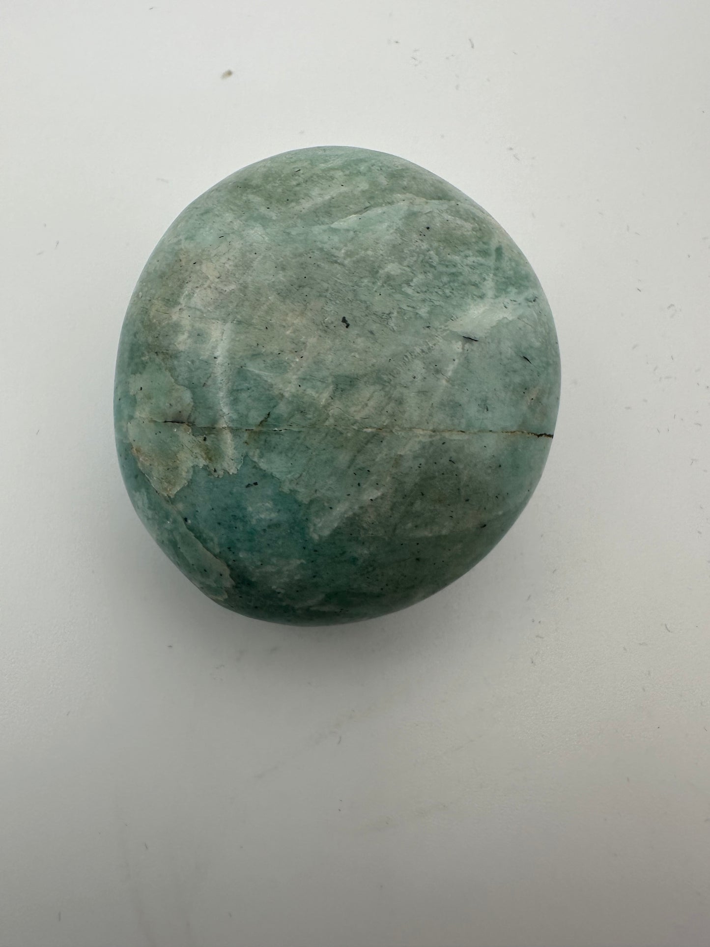 Large Amazonite Palm