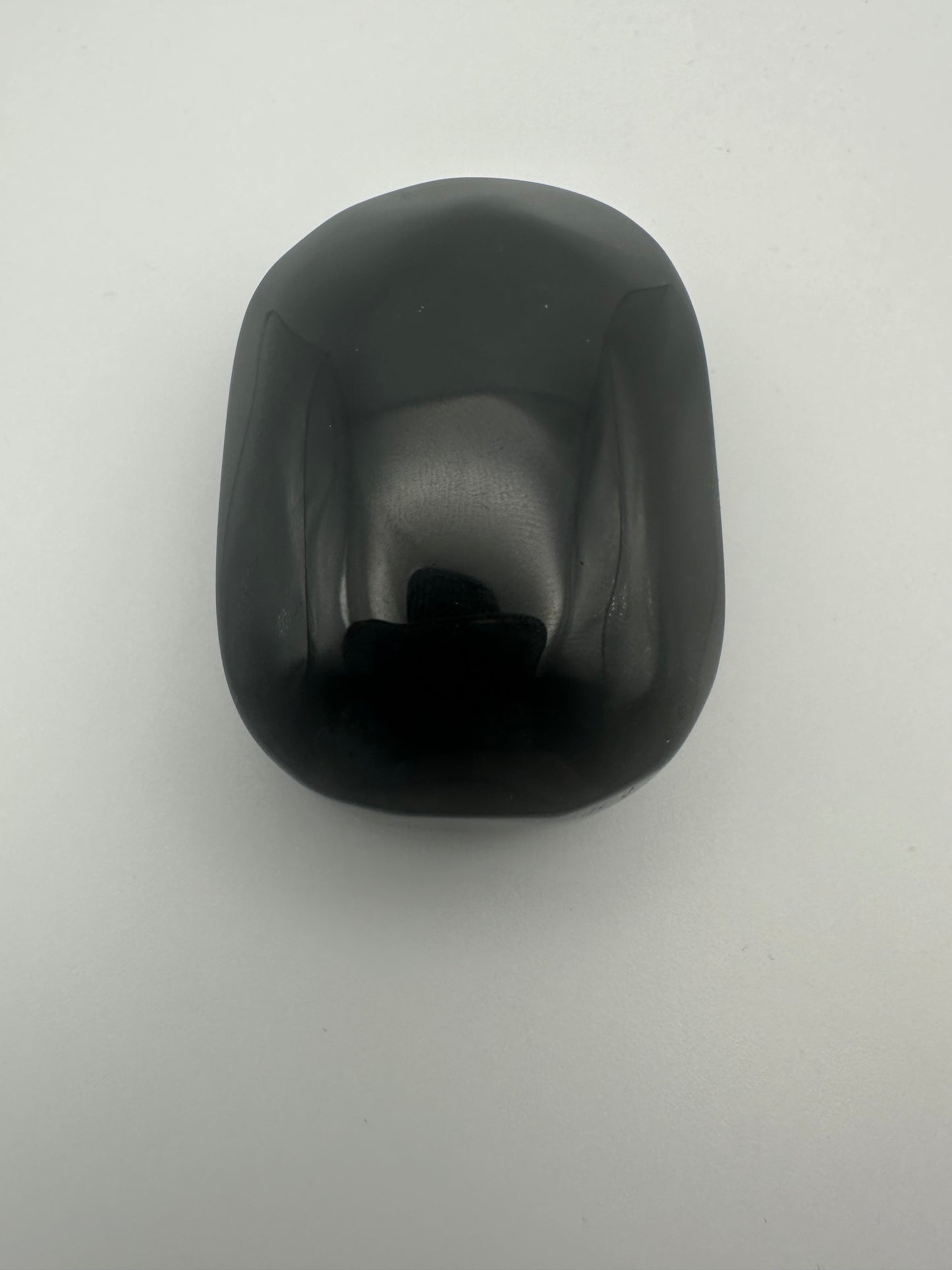 Large Obsidian Palm