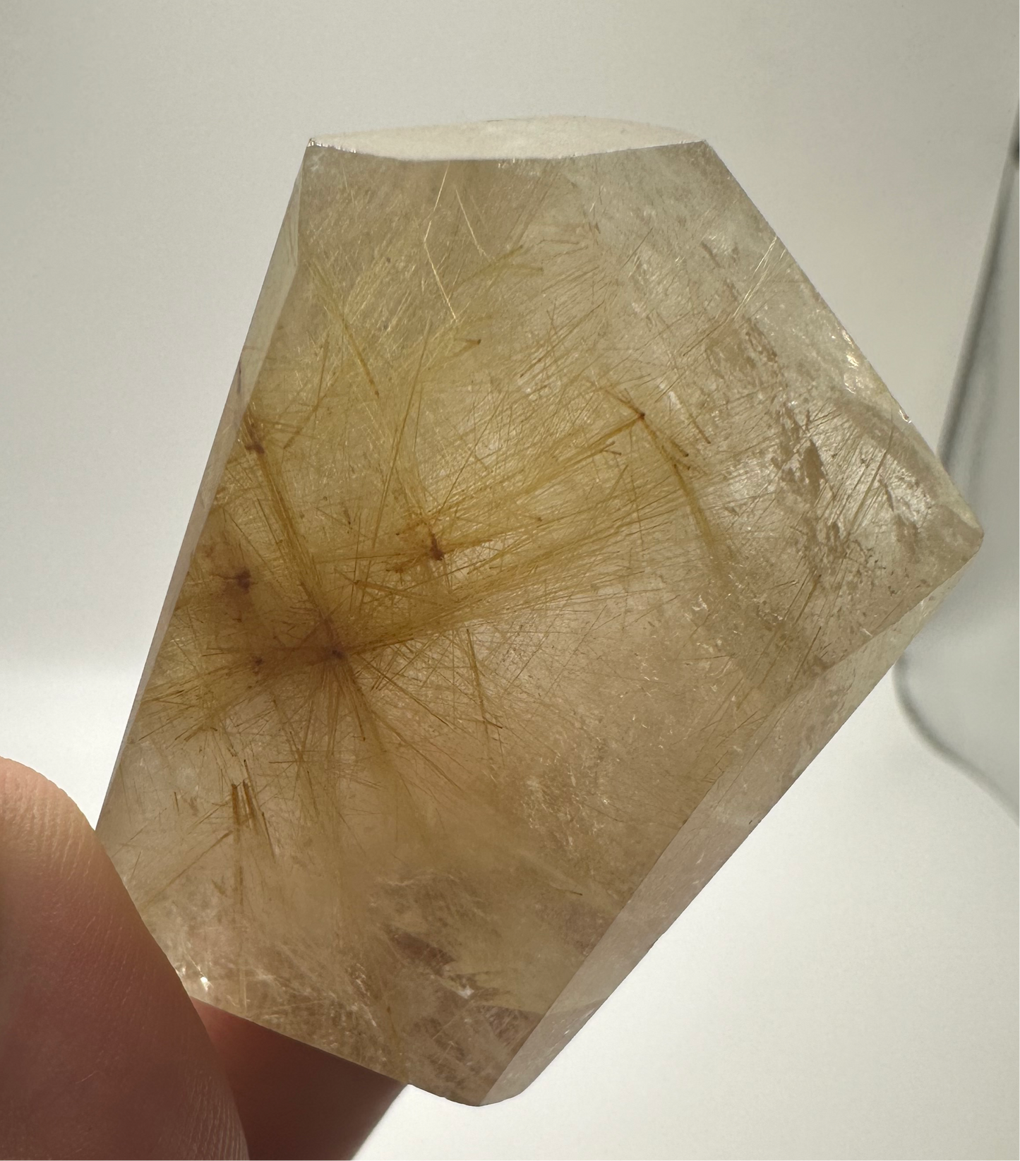 Gold Rutilated Quartz Small Freeform E