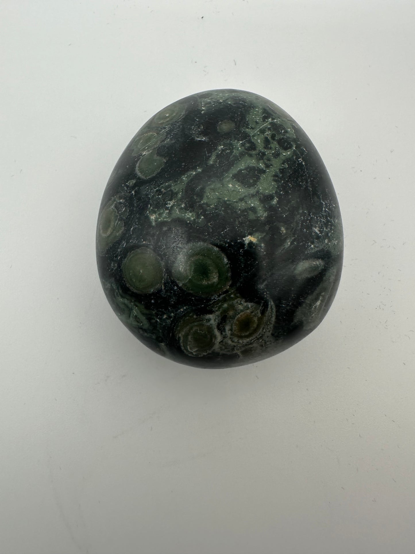 Kambaba Jasper Palm