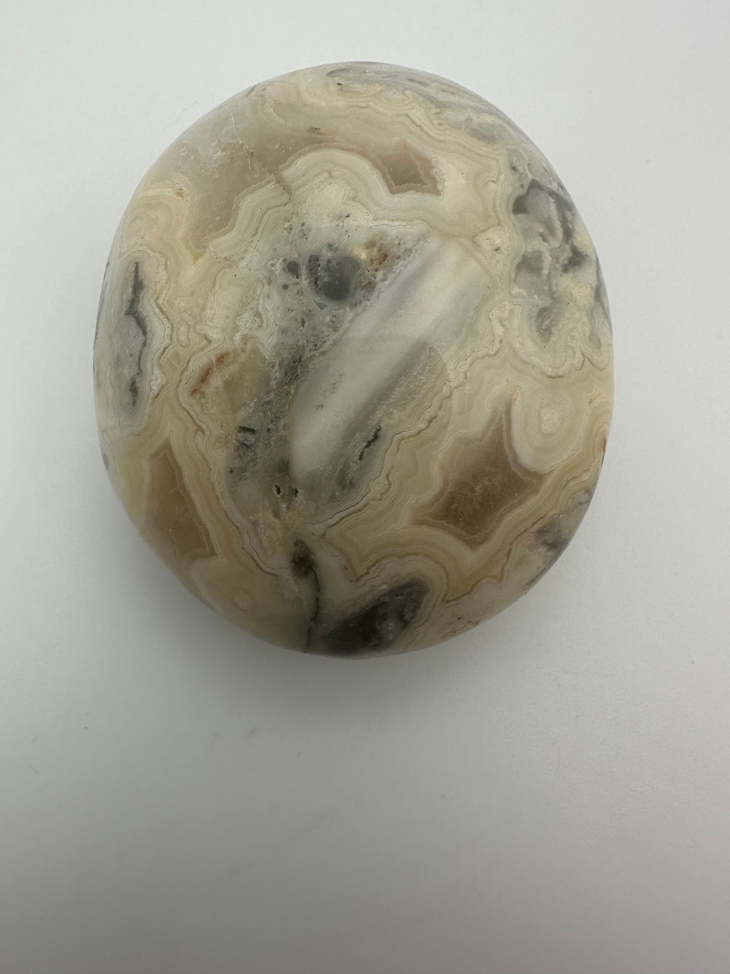 Agate Palm Stone