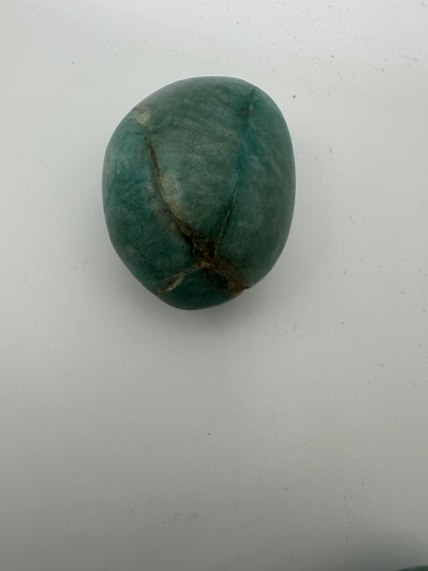 Large Amazonite Palm