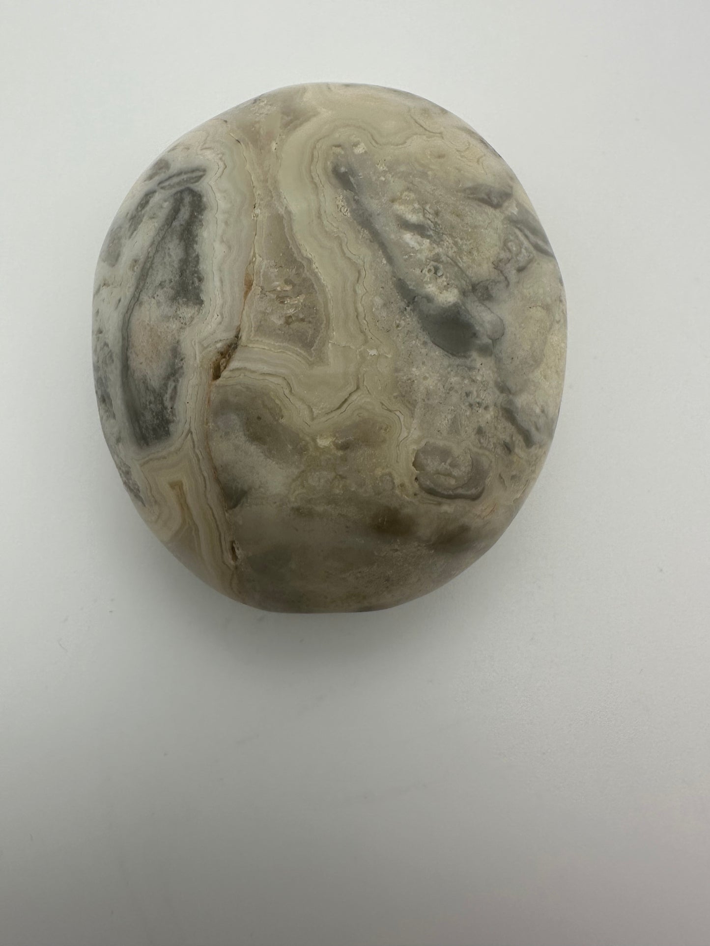 Agate Palm Stone