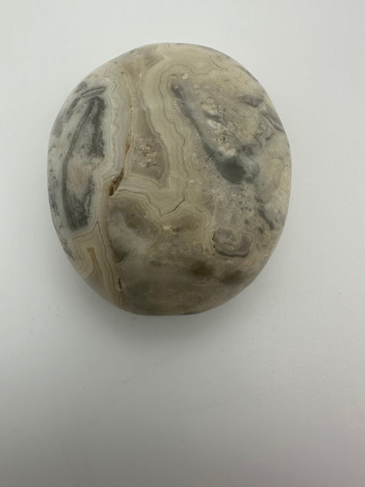 Agate Palm Stone