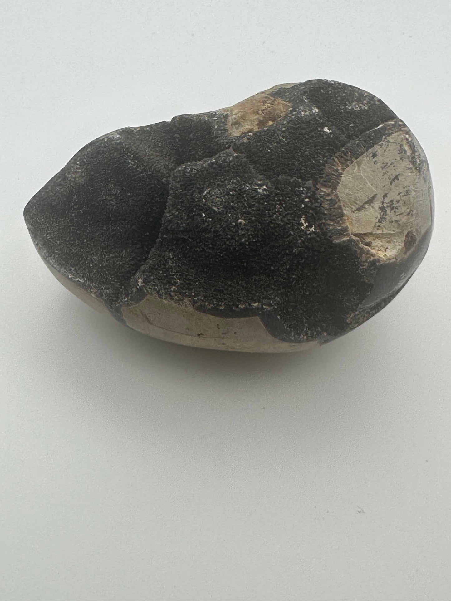 Septarian Egg