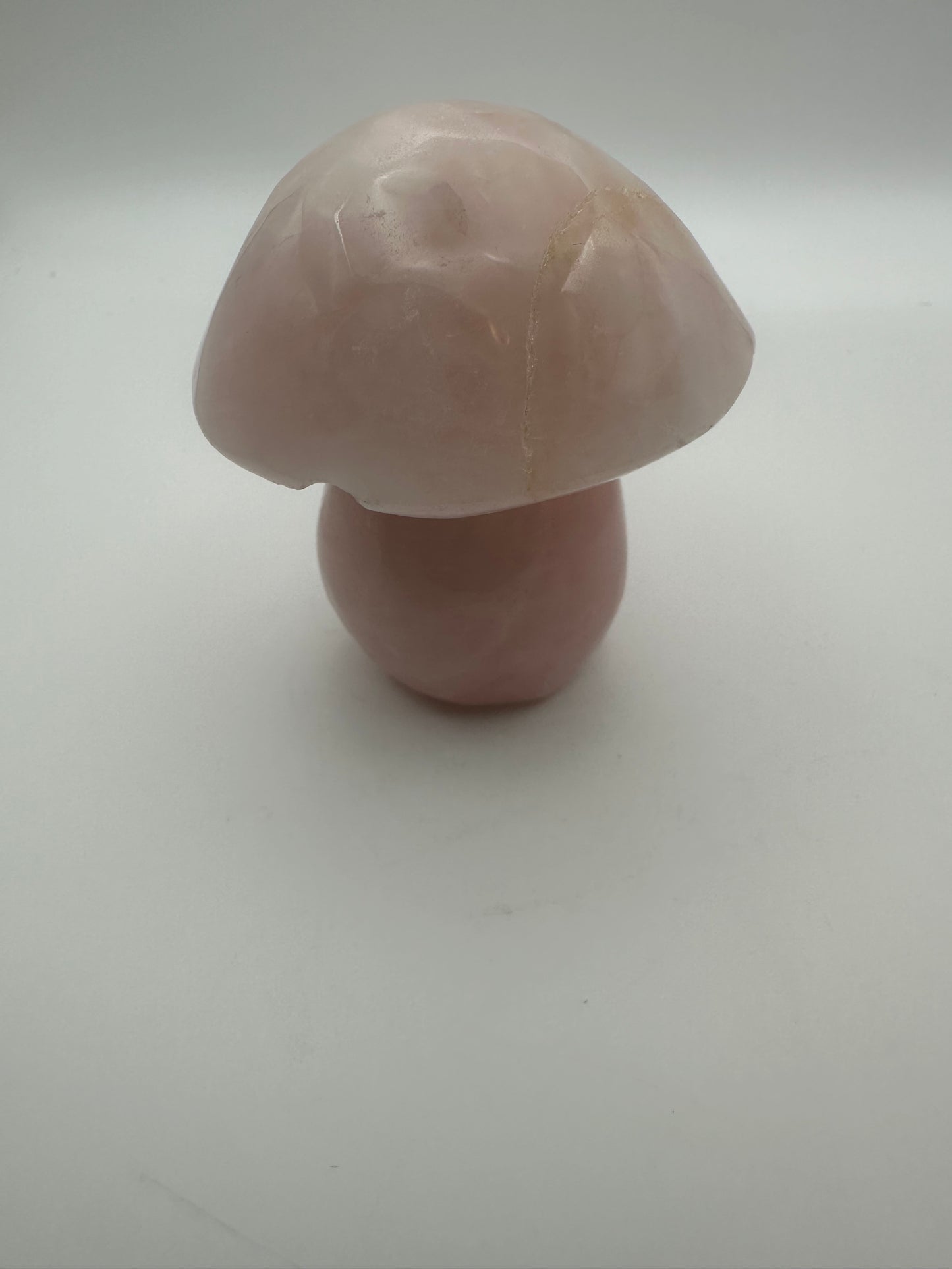 Rose Quartz Mushroom Carving
