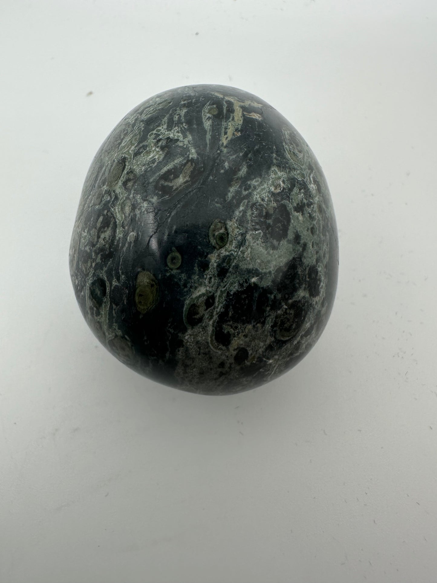 Kambaba Jasper Palm