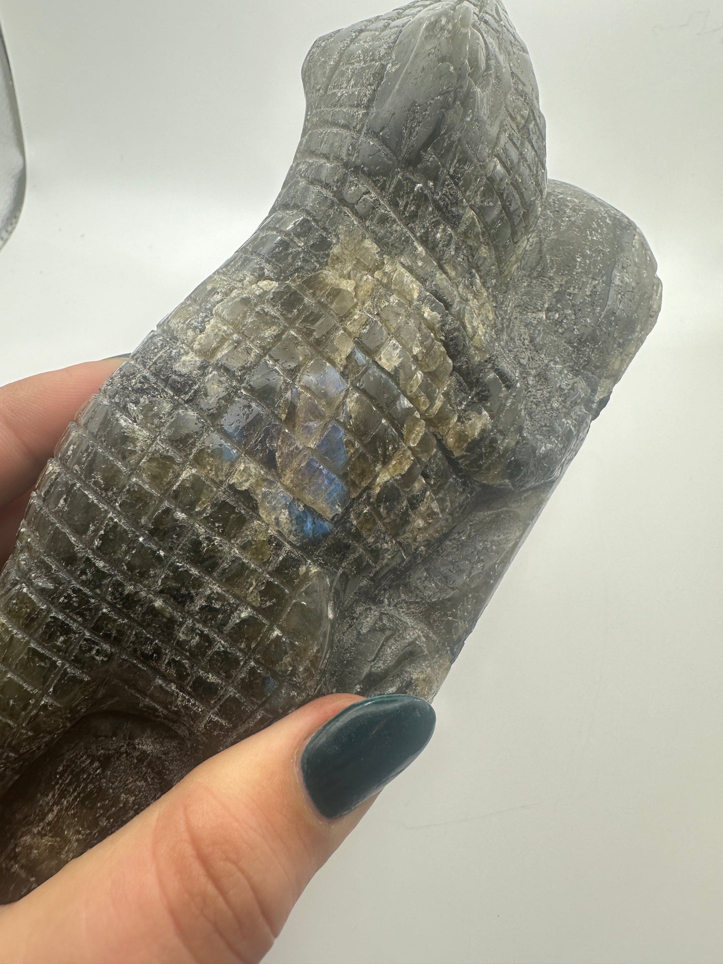 Large Labradorite Alligator Carving
