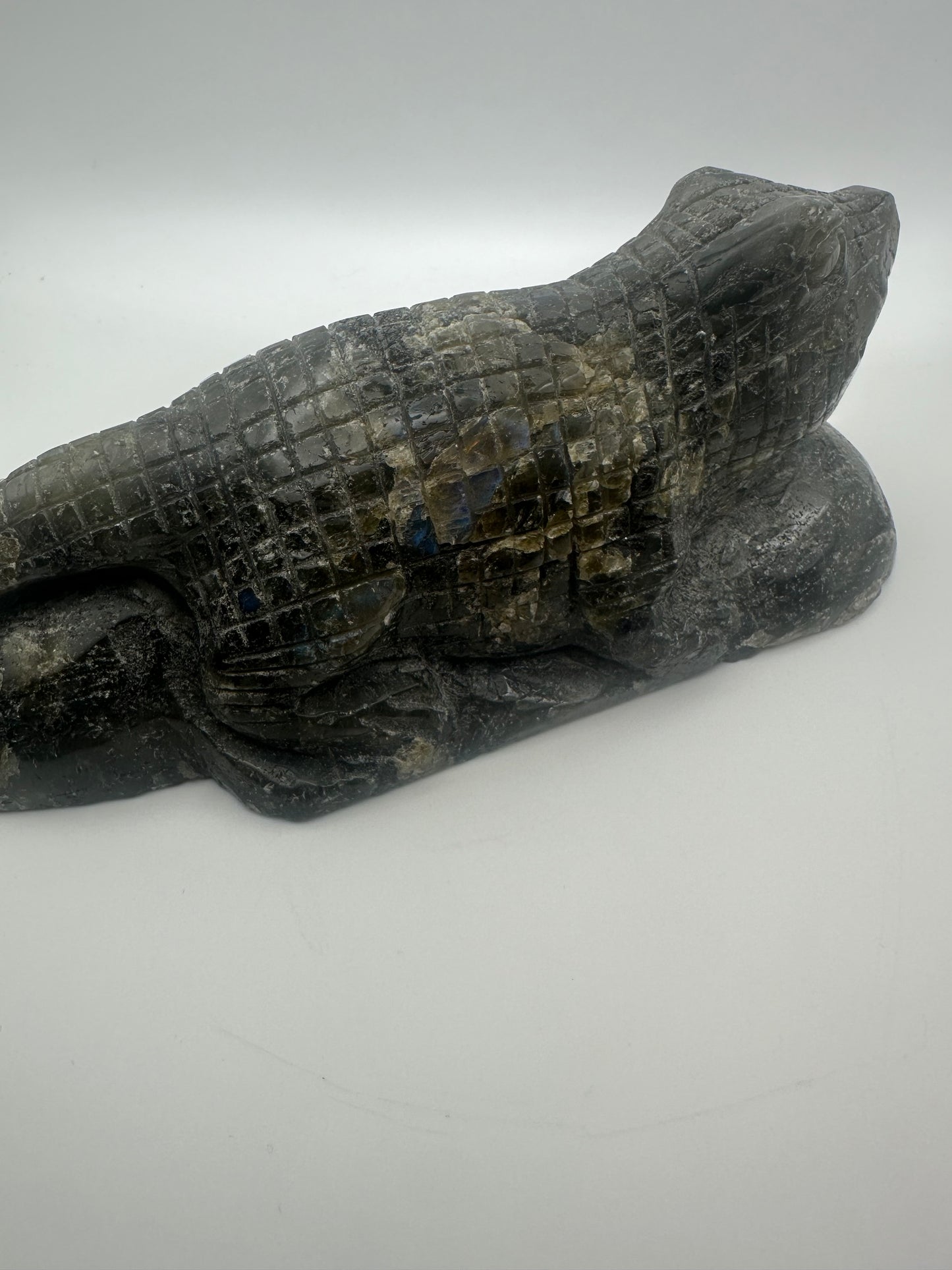 Large Labradorite Alligator Carving