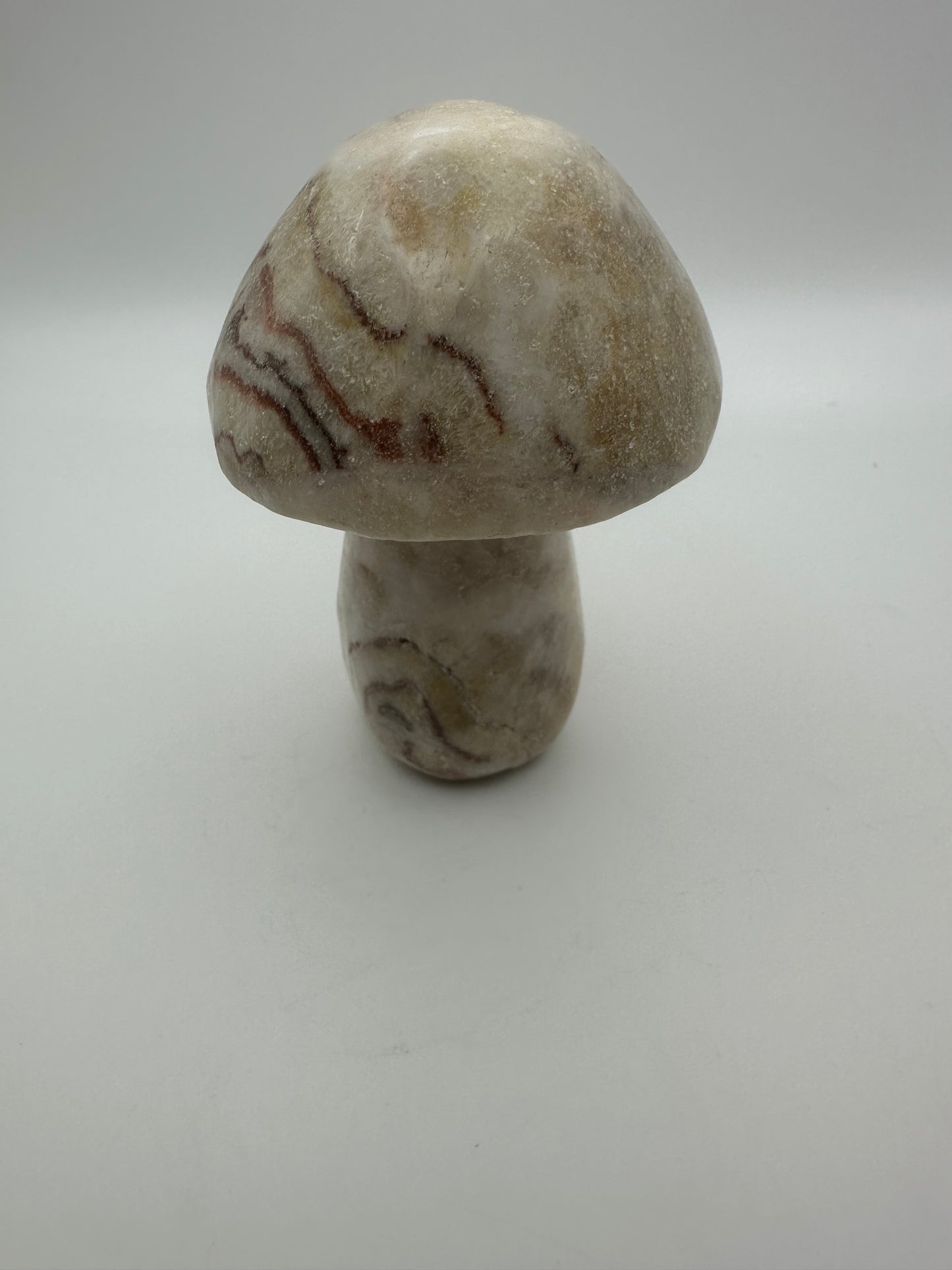 Pork Stone Mushroom Carving