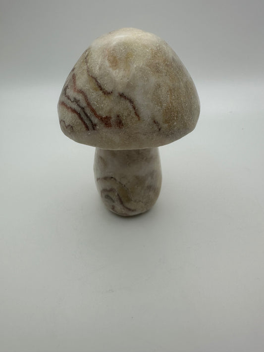 Pork Stone Mushroom Carving