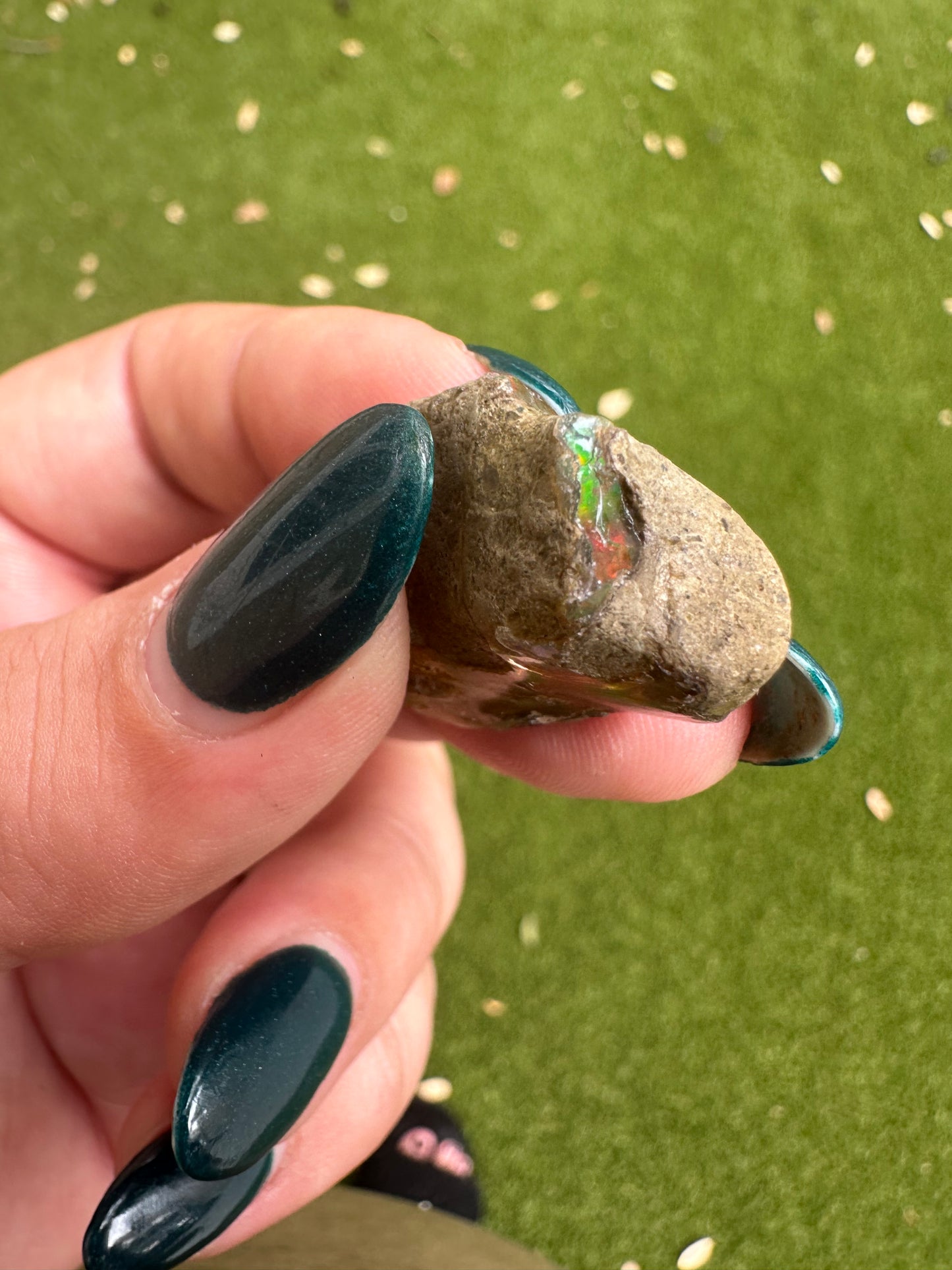 Ethiopian Water Opal D