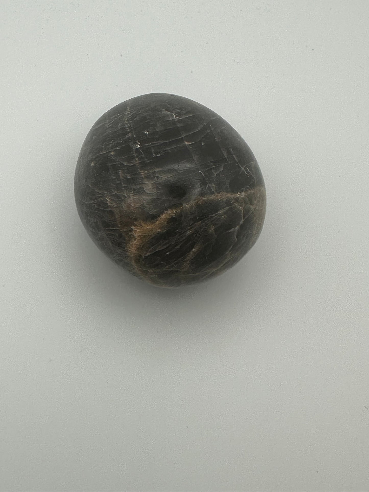 Black Moonstone Palm