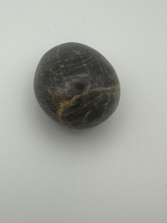Black Moonstone Palm