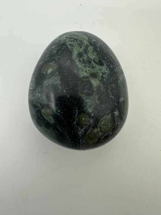 Kambaba Jasper Palm