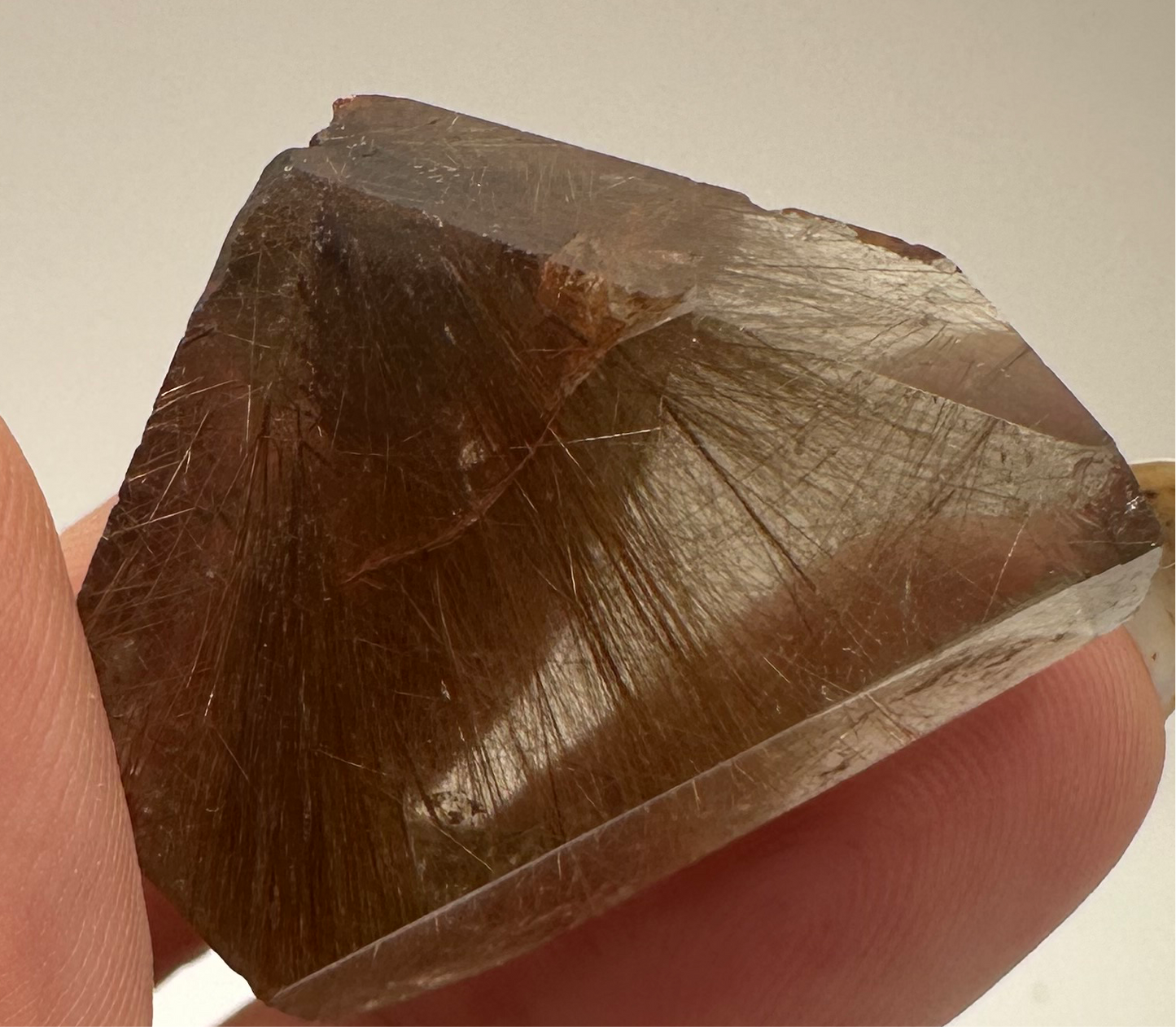 Gold Rutilated Quartz Small Freeform G