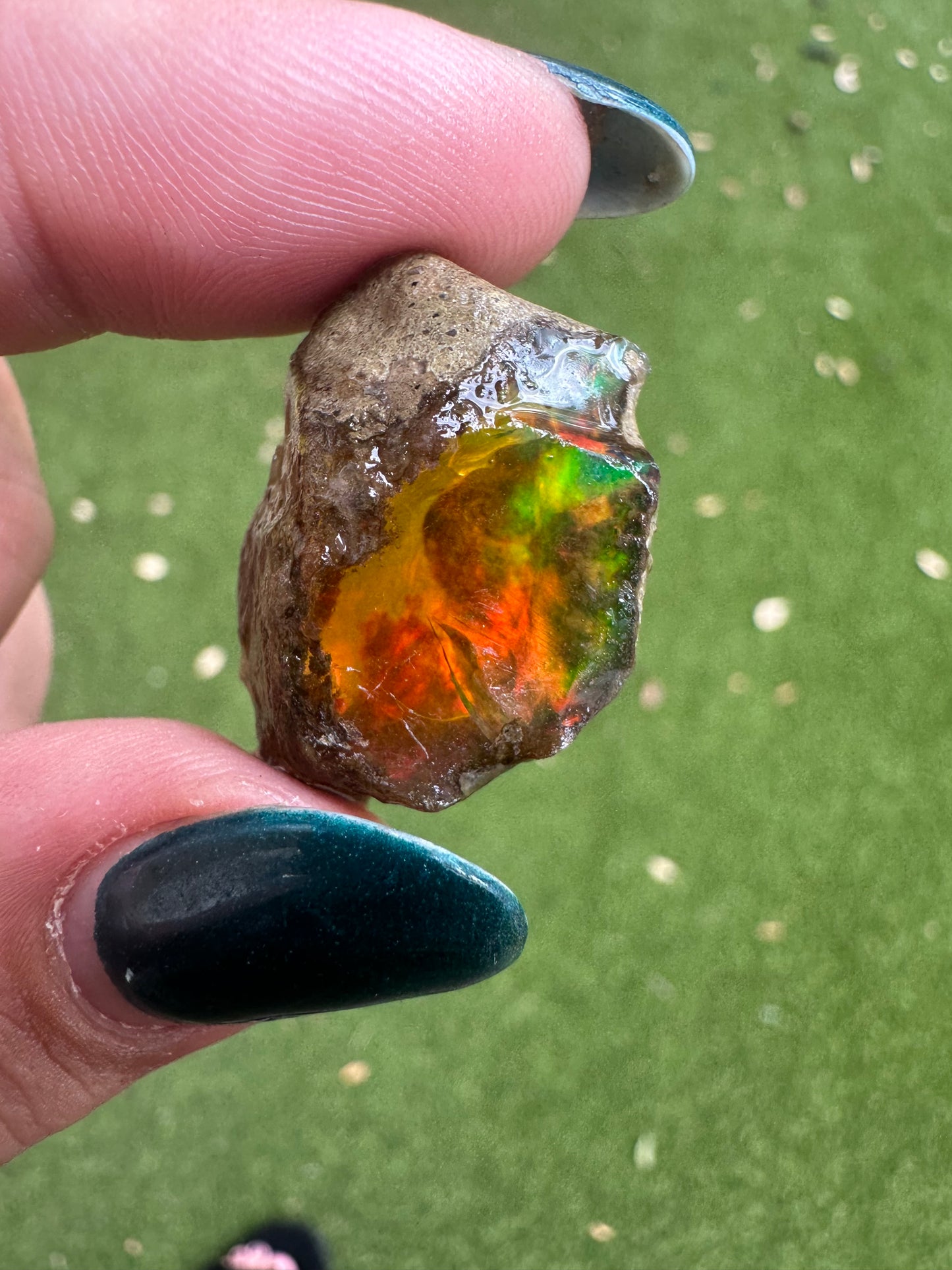 Ethiopian Water Opal D