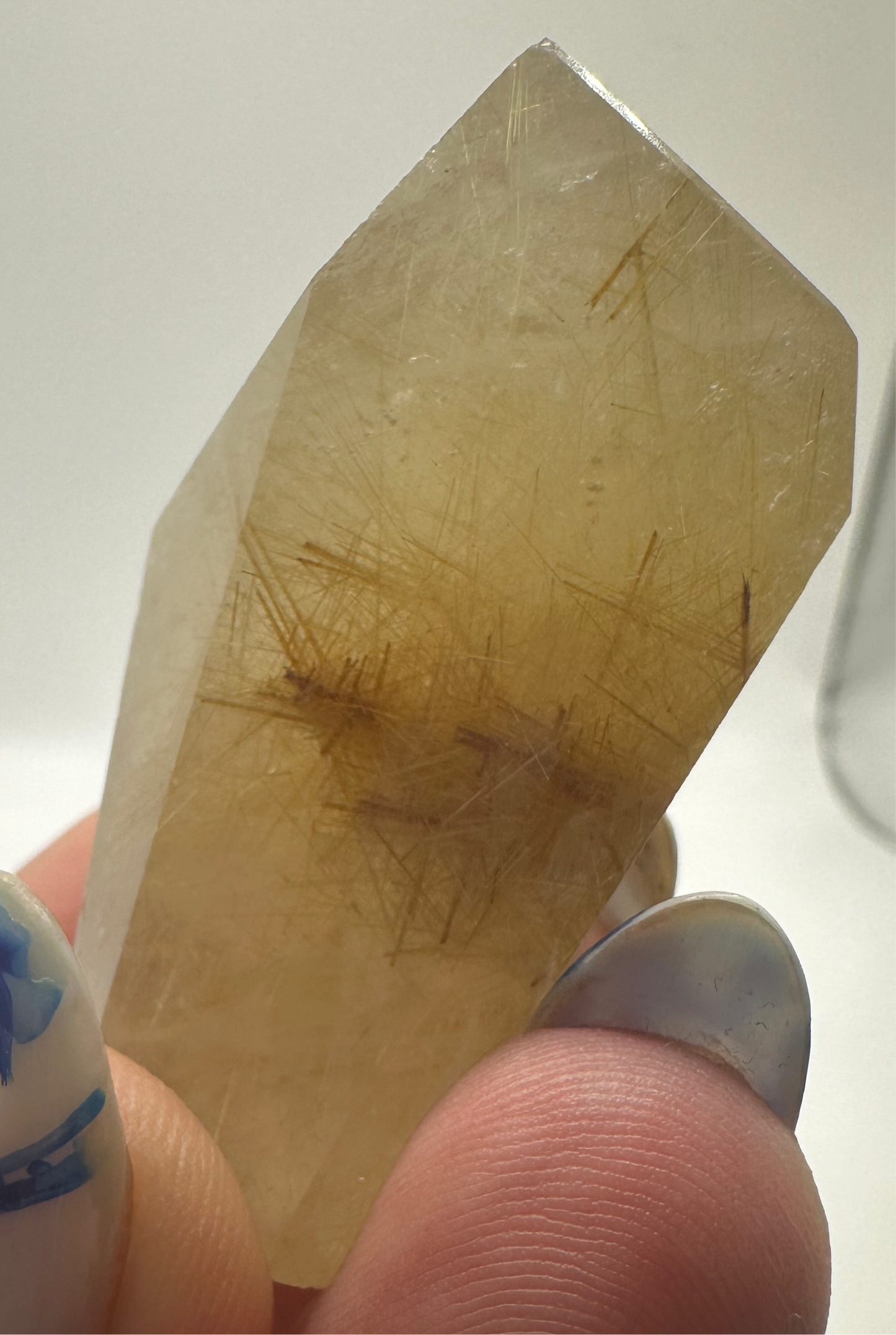 Gold Rutilated Quartz Small Freeform E
