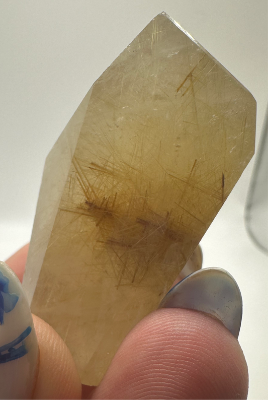 Gold Rutilated Quartz Small Freeform E