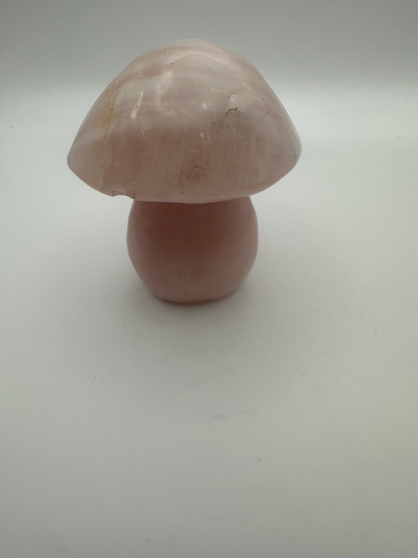 Rose Quartz Mushroom Carving