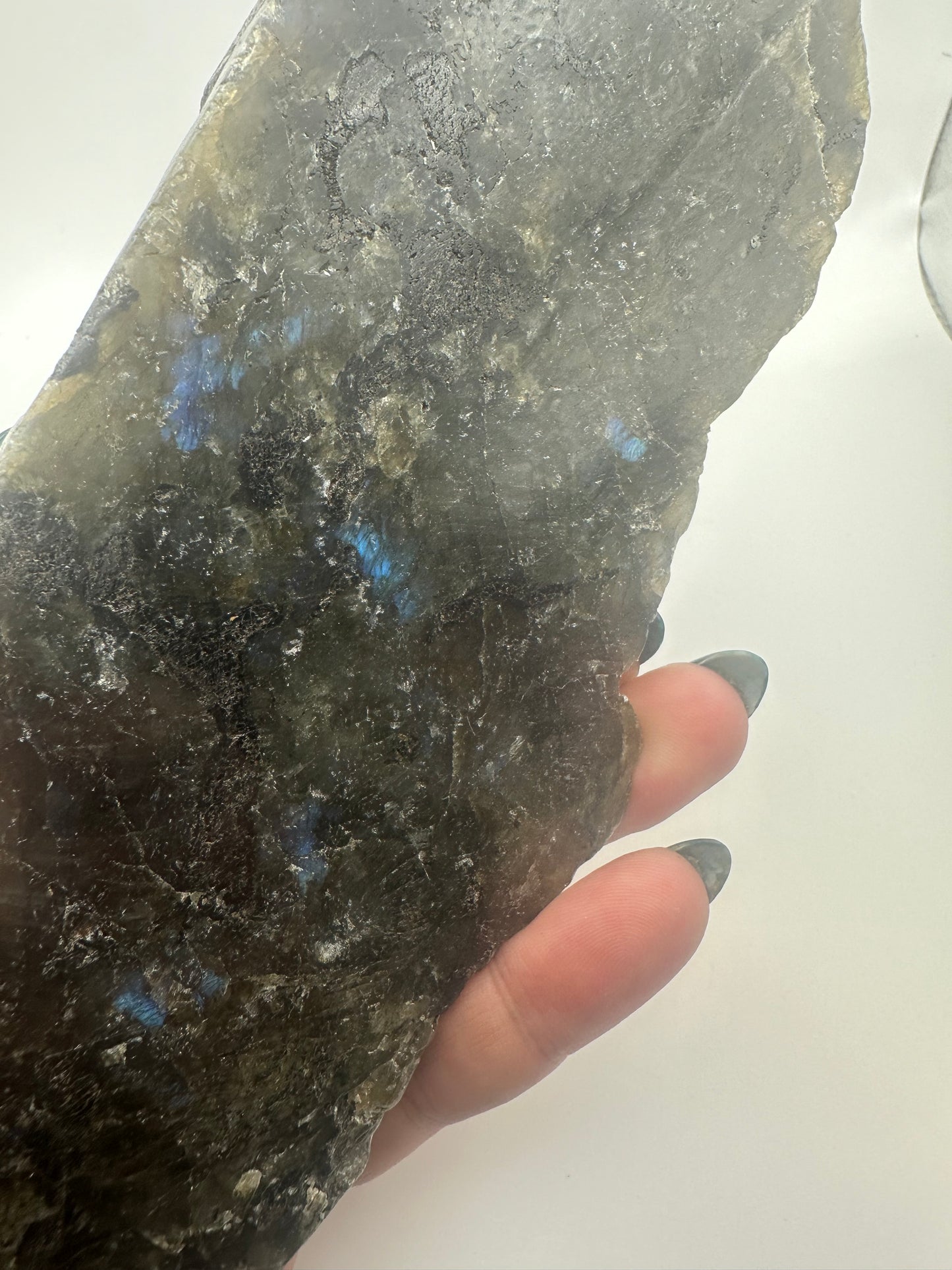 Large Labradorite Alligator Carving