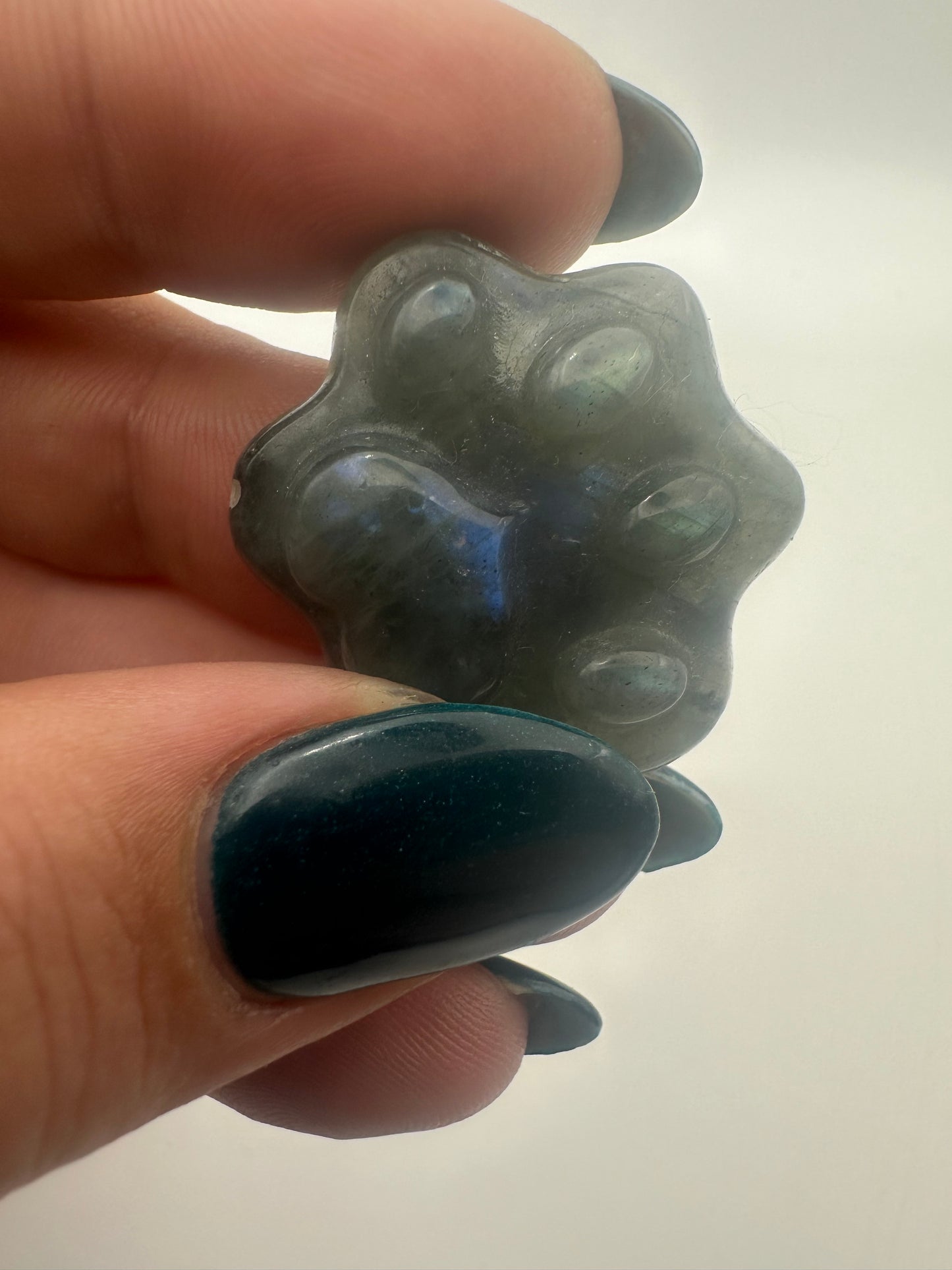 Labradorite Paw Print