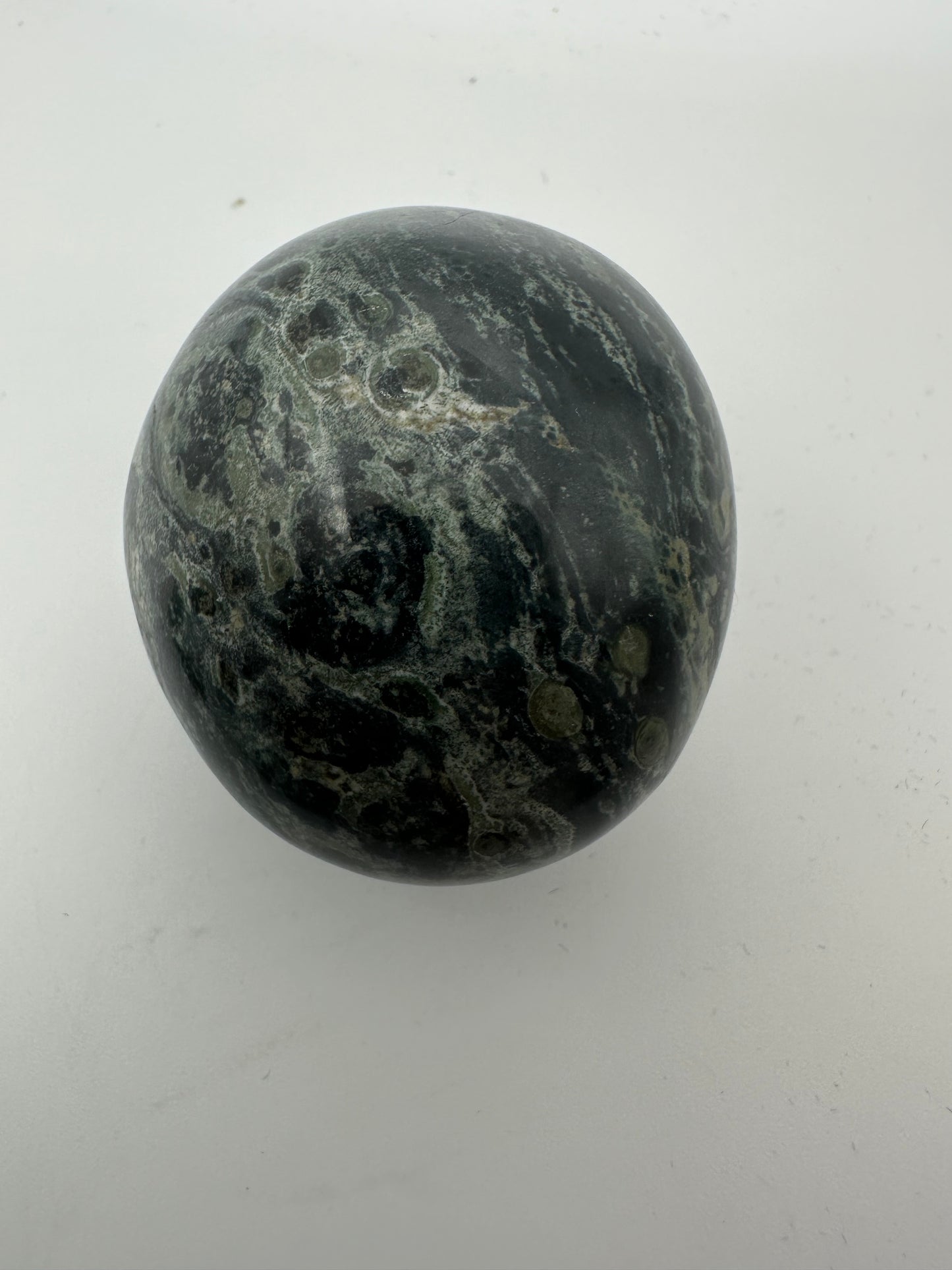 Kambaba Jasper Palm