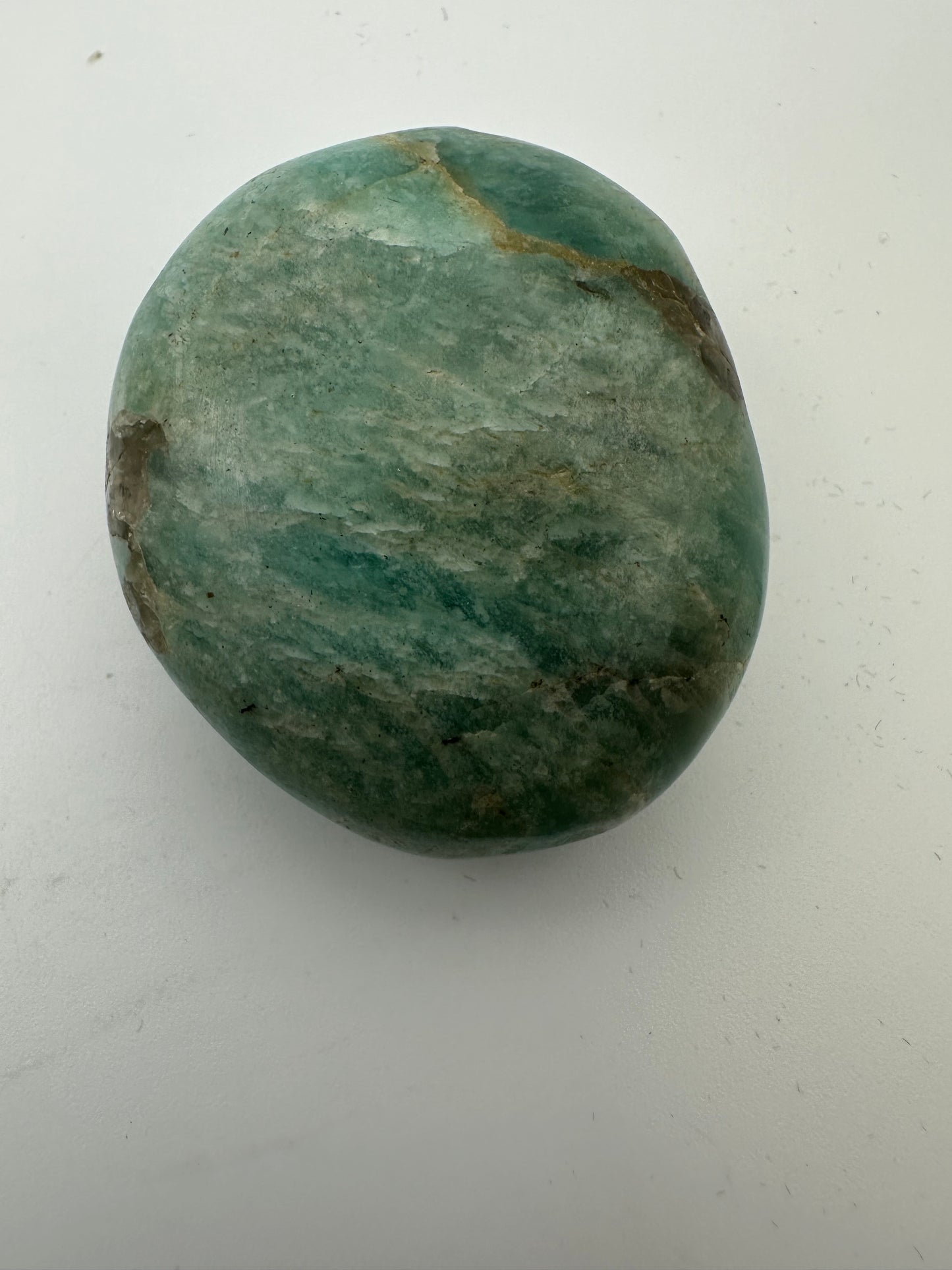 Large Amazonite Palm