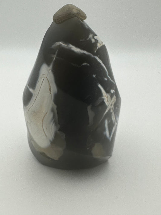 Orca Agate Flame