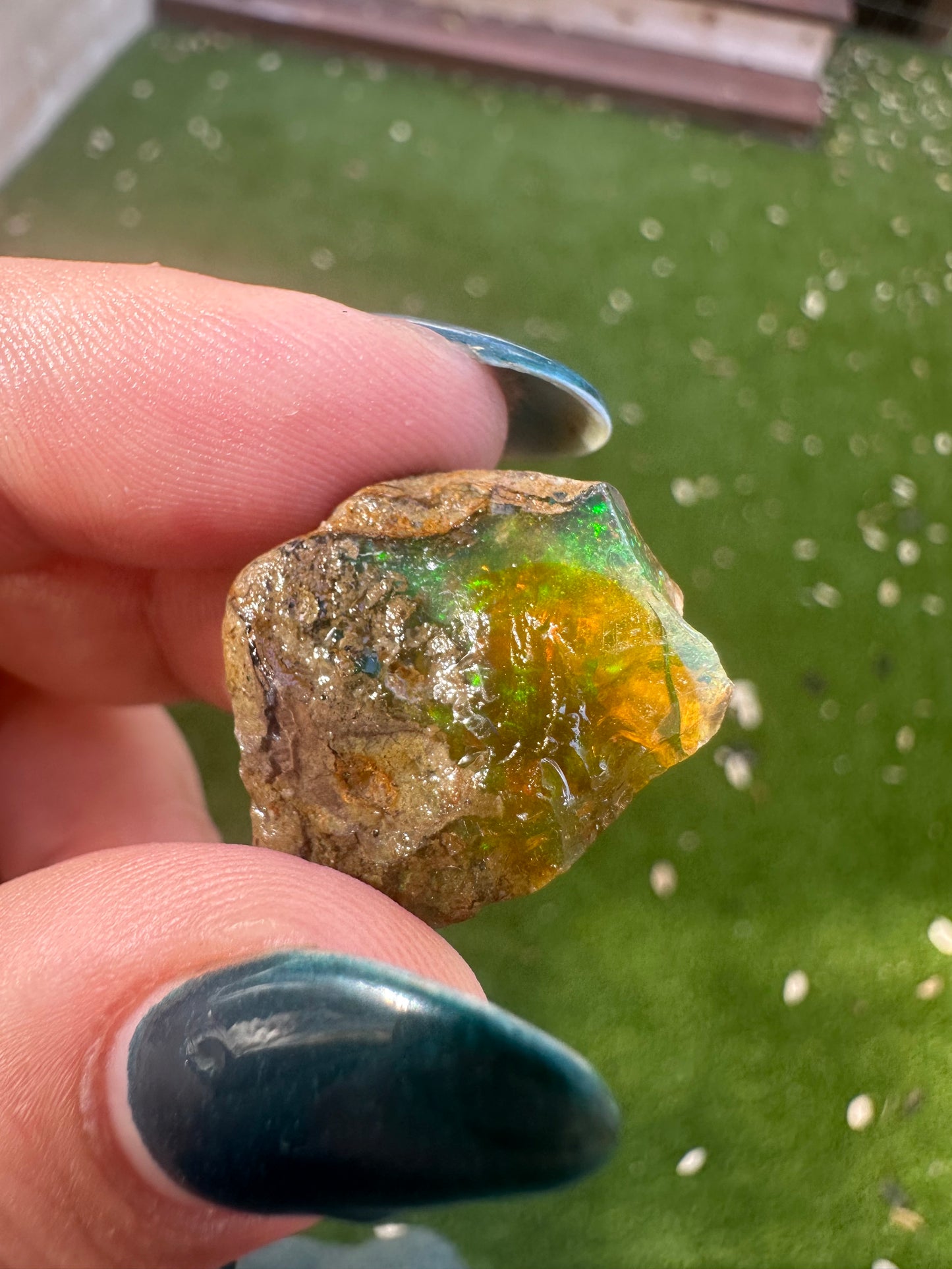 Ethiopian Water Opal F