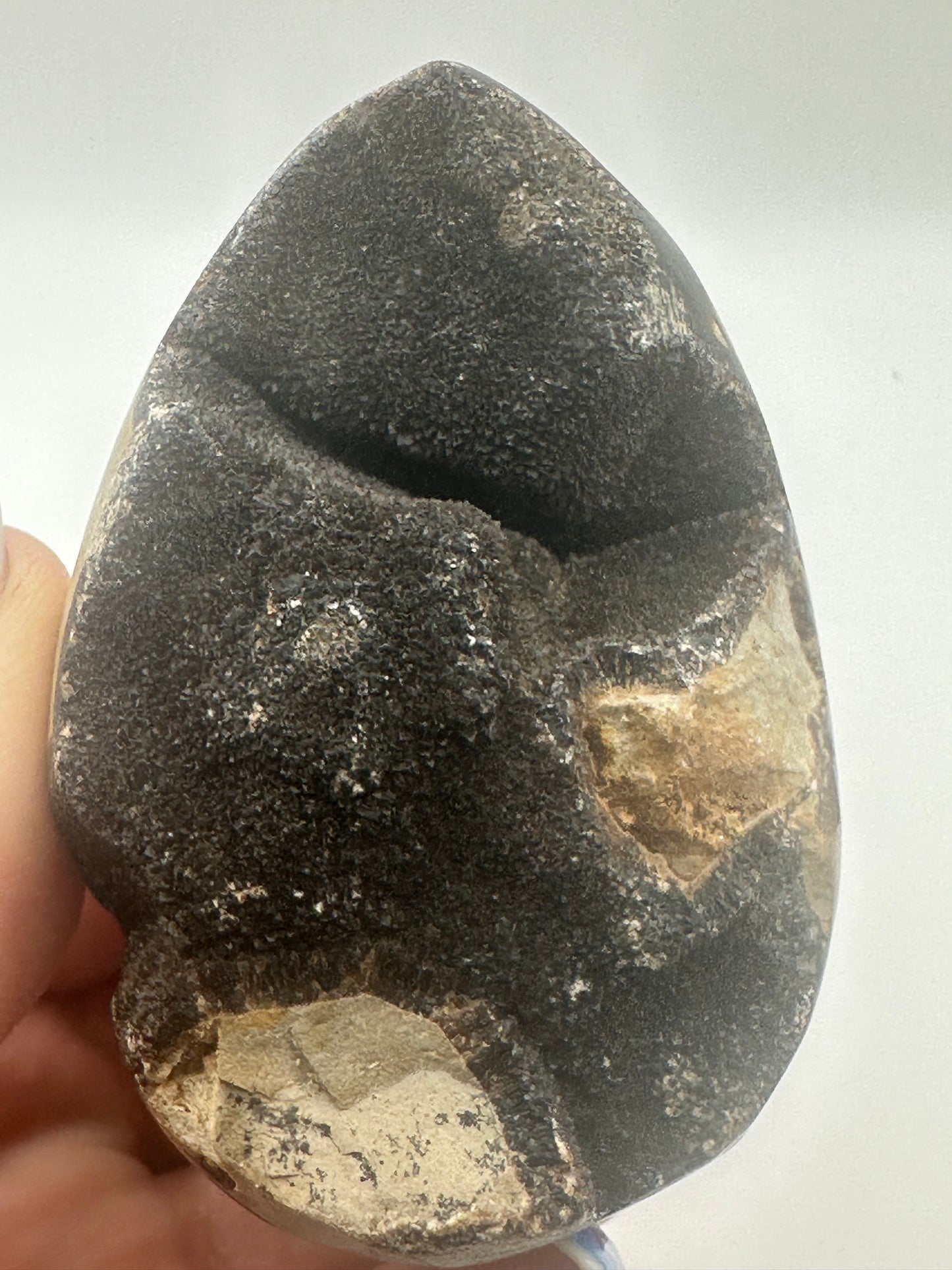 Septarian Egg
