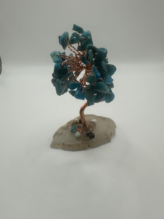 Blue Apatite Money Tree