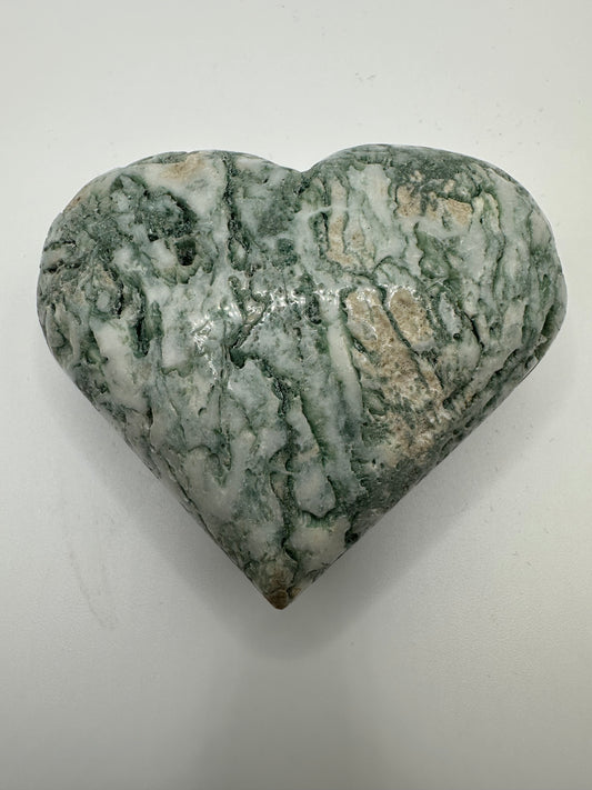 Tree Agate Heart