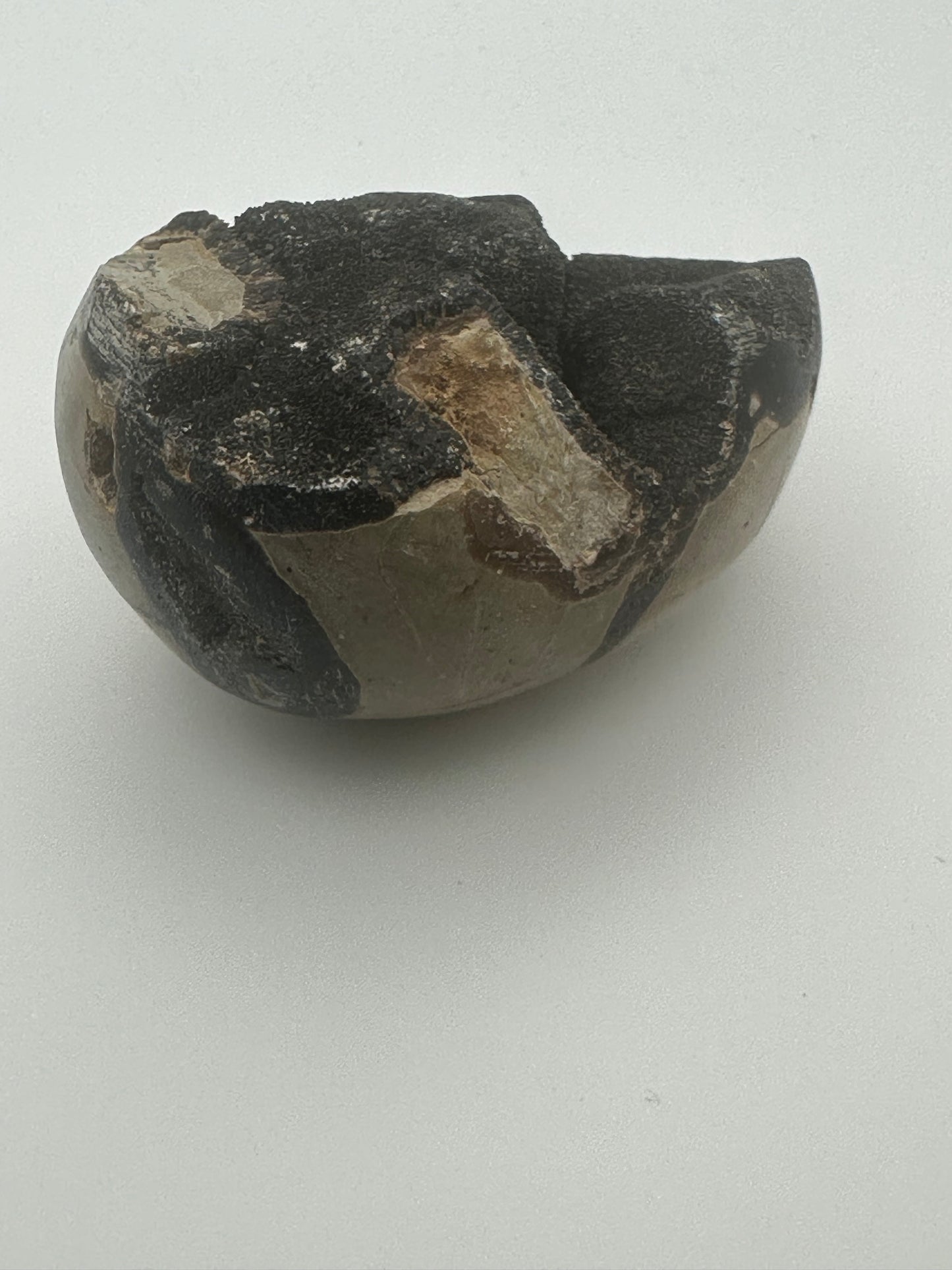 Septarian Egg
