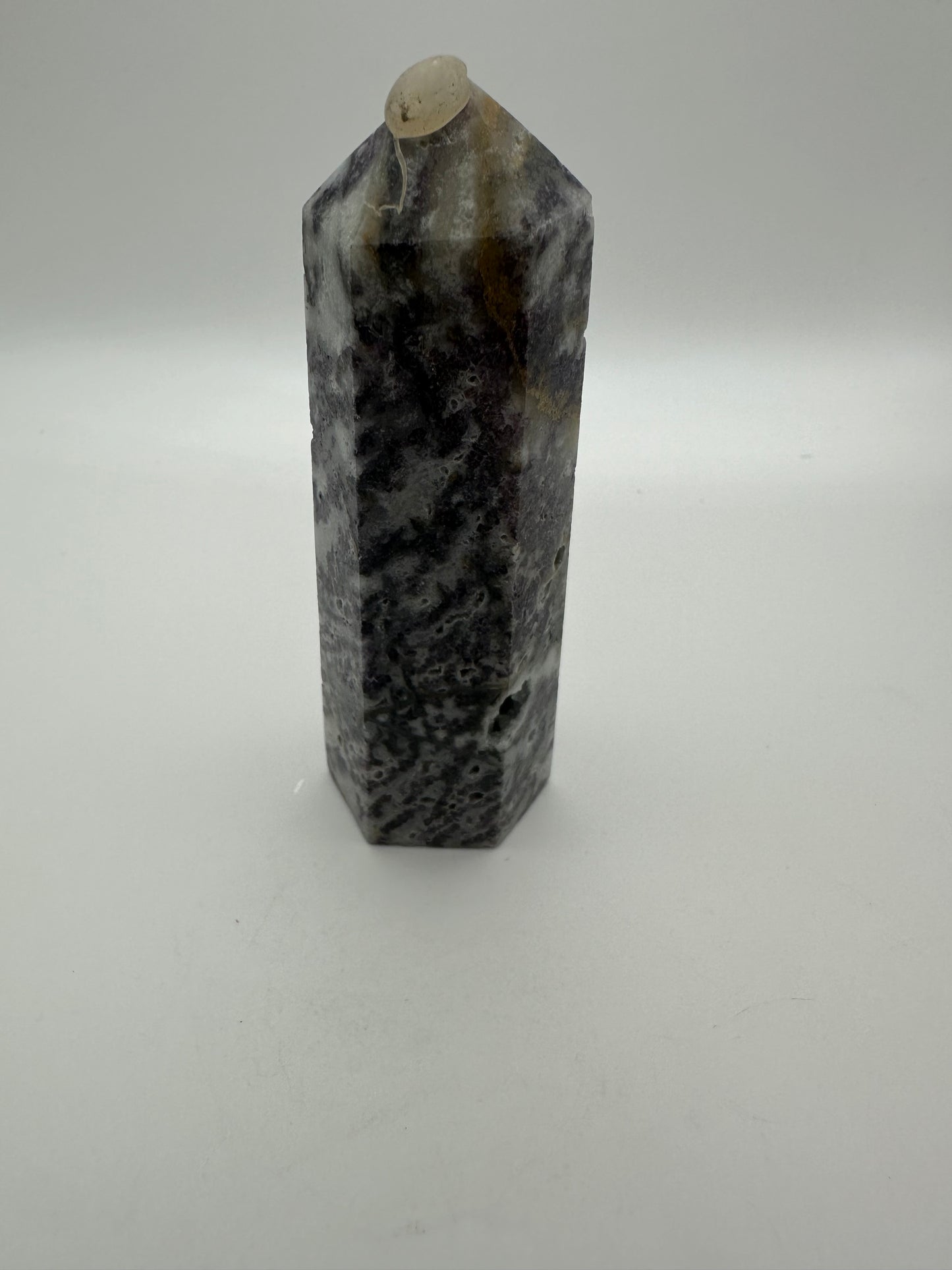 Purple Zebra Point