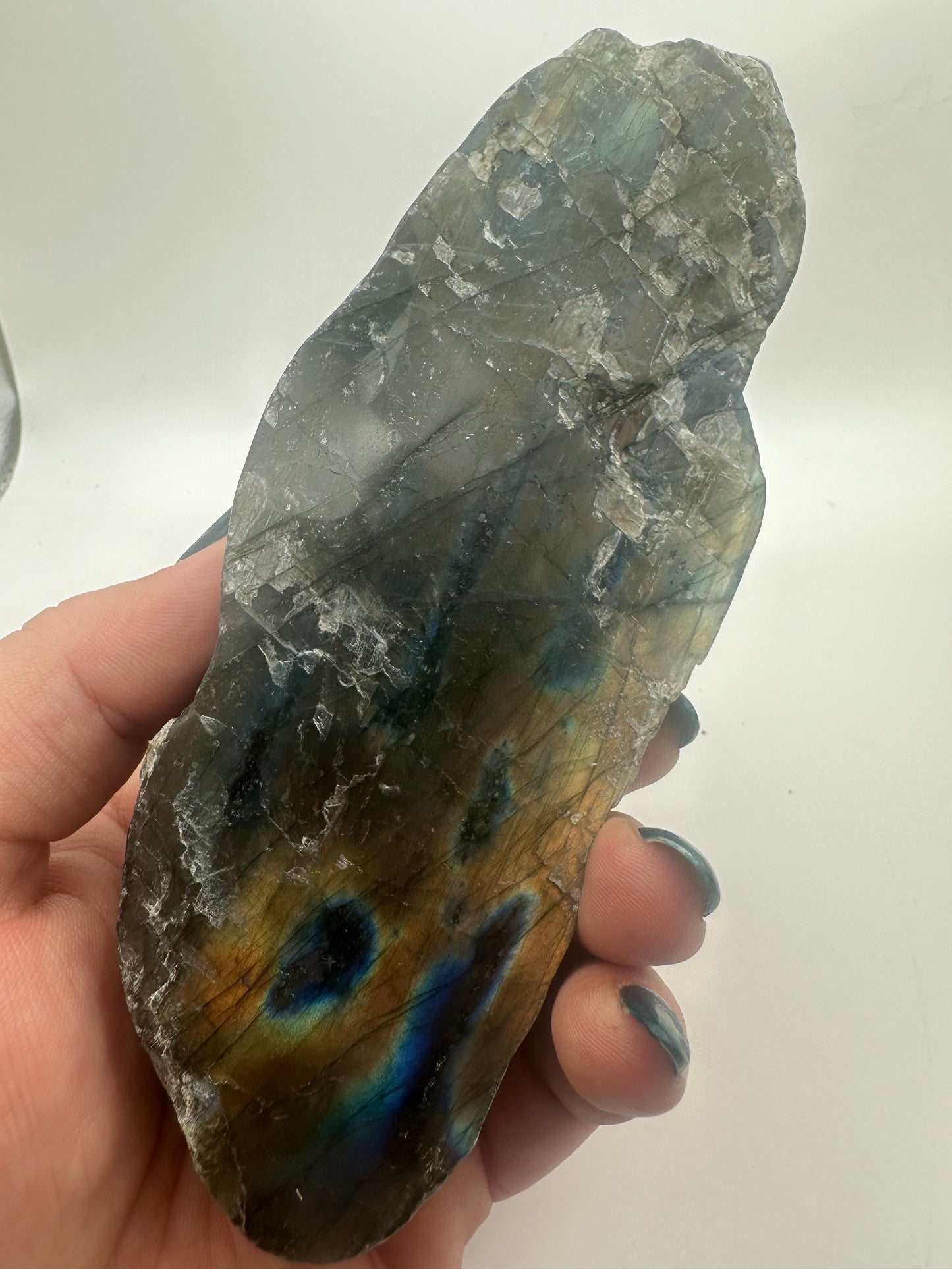 Labradorite Alligator Carving