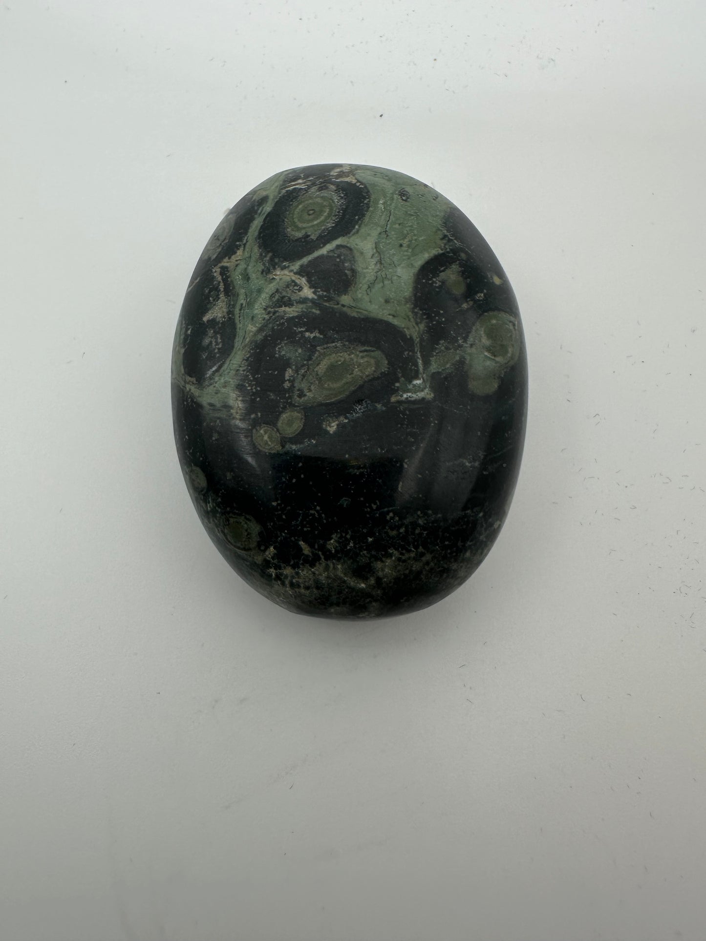 Kambaba Jasper Palm