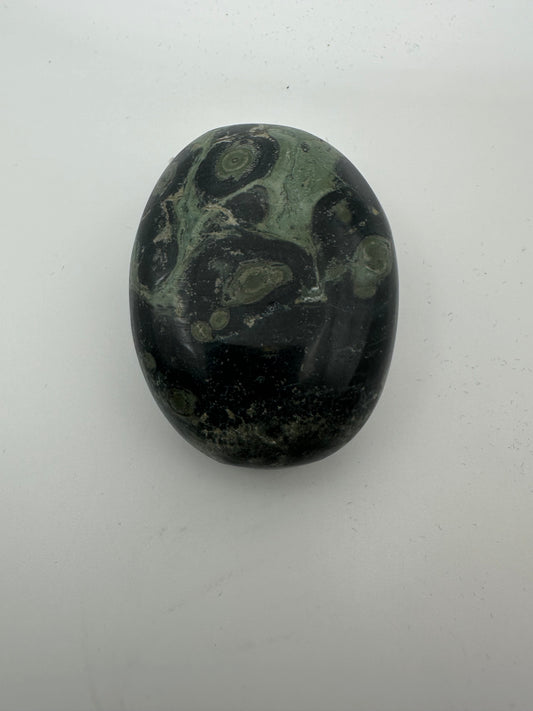 Kambaba Jasper Palm