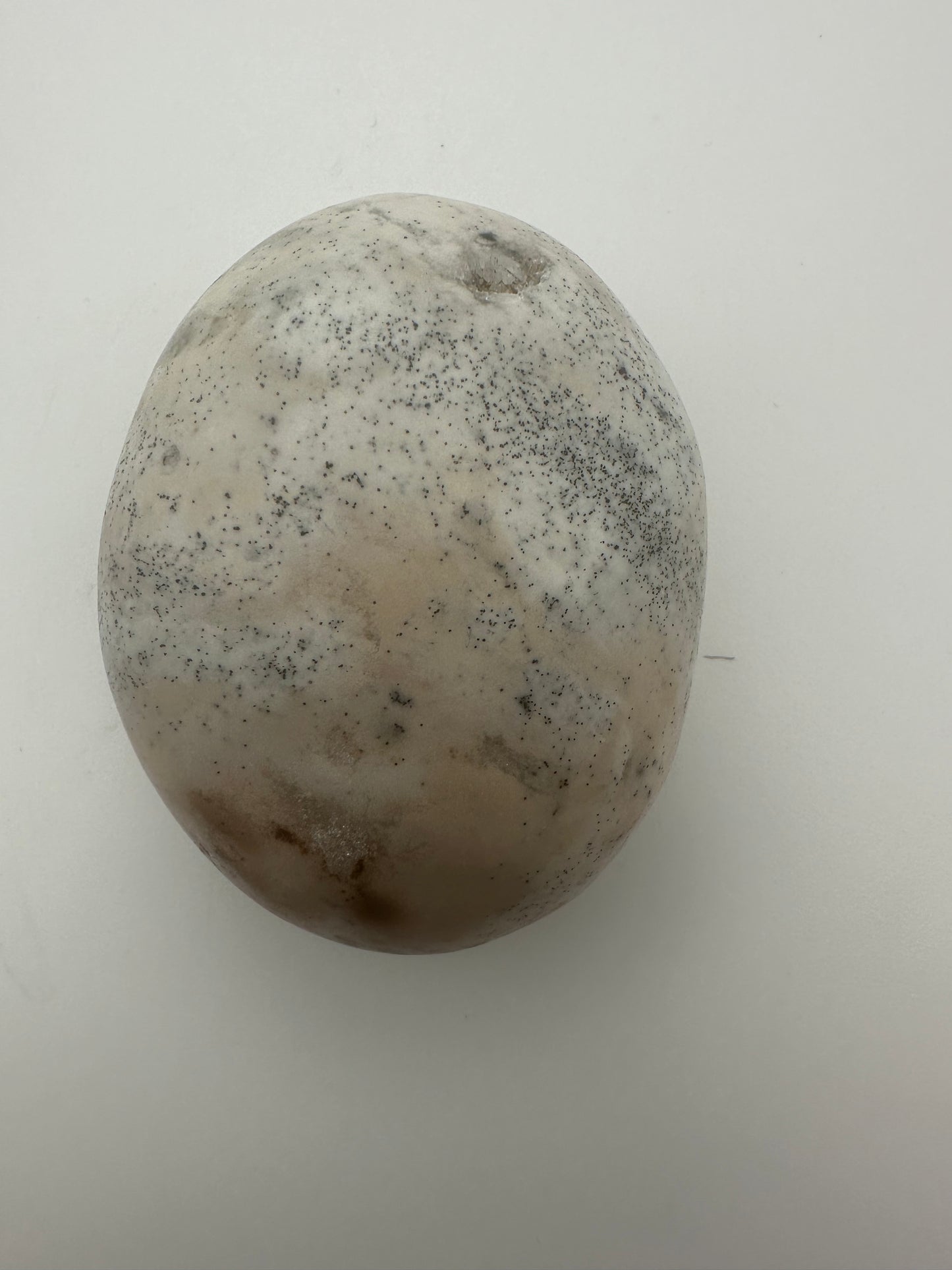 Picture Jasper Palm Stone