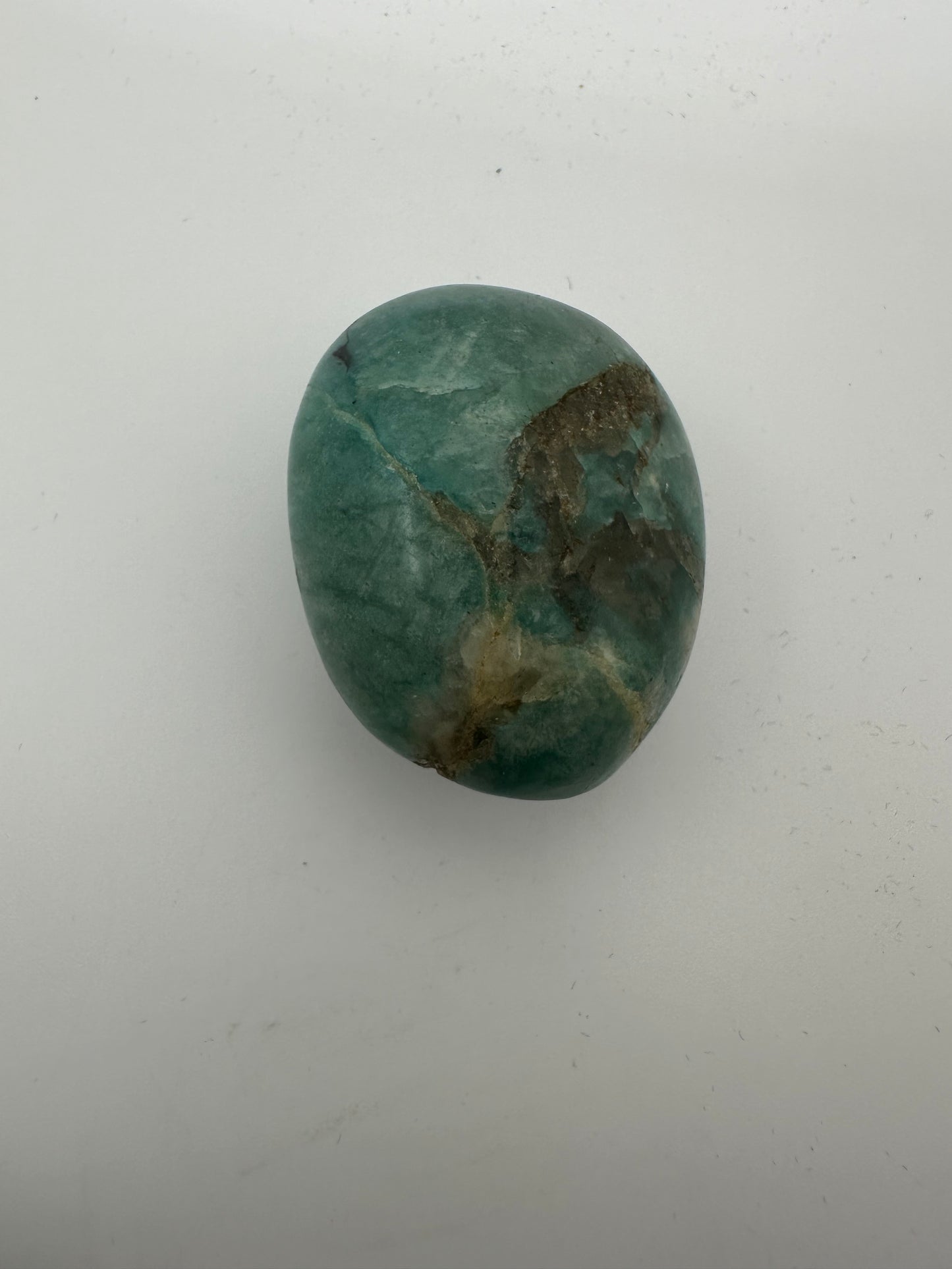 Large Amazonite Palm