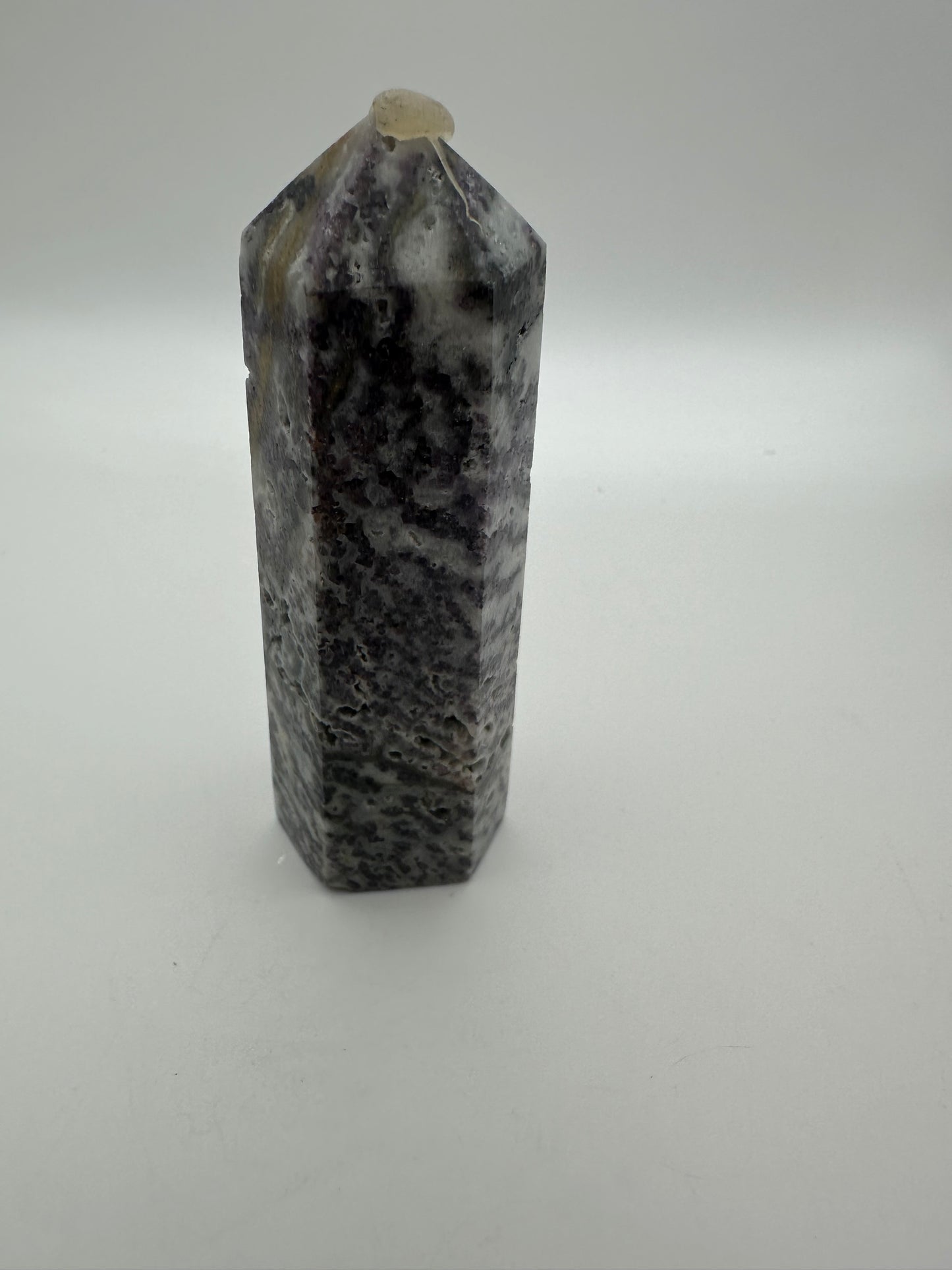 Purple Zebra Point