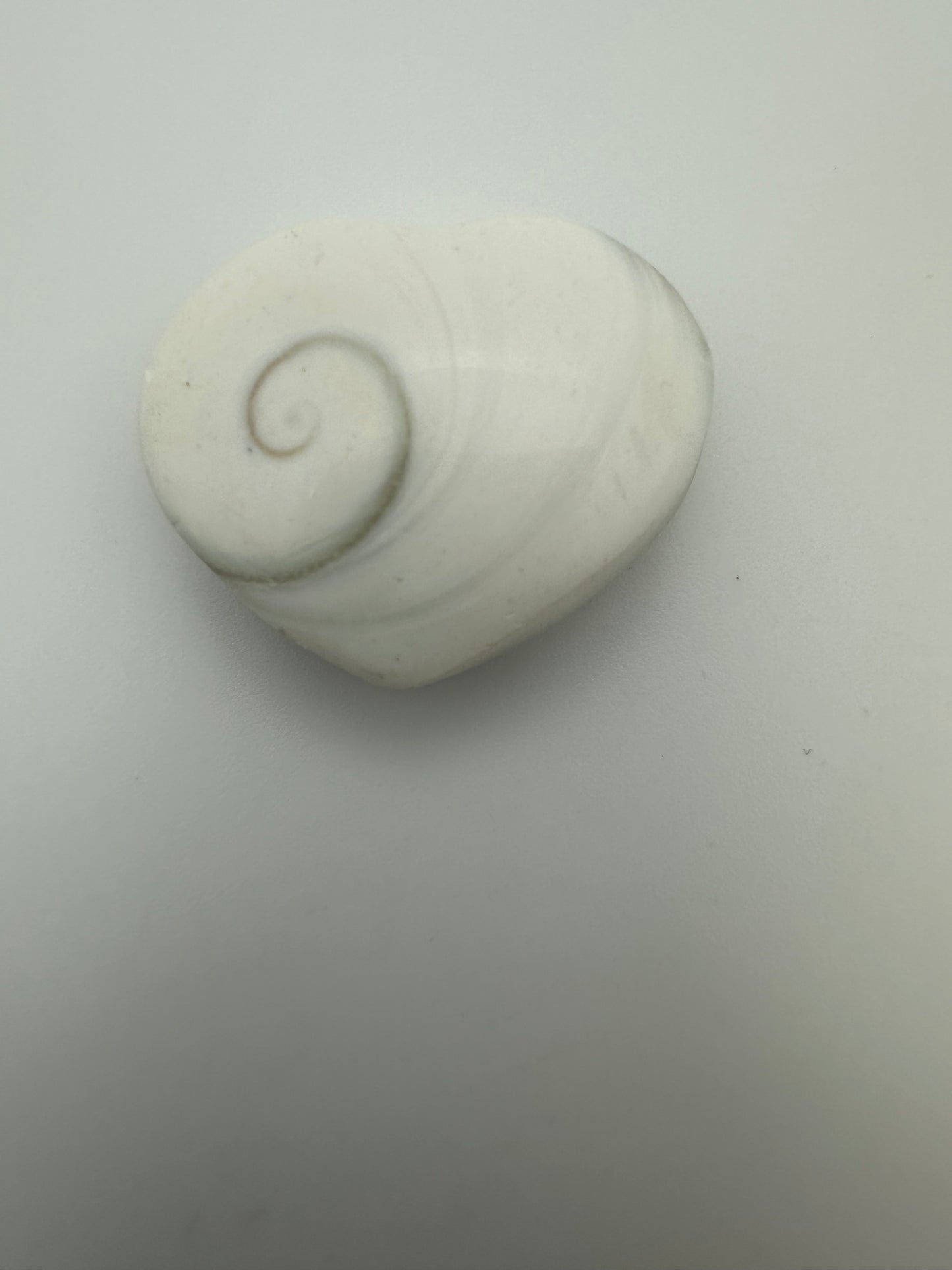 Shiva Shell Mini Heart