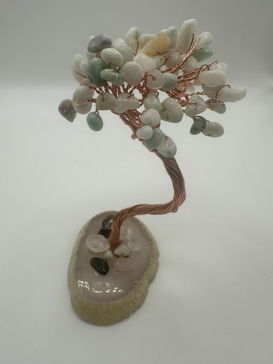Jade Money Tree