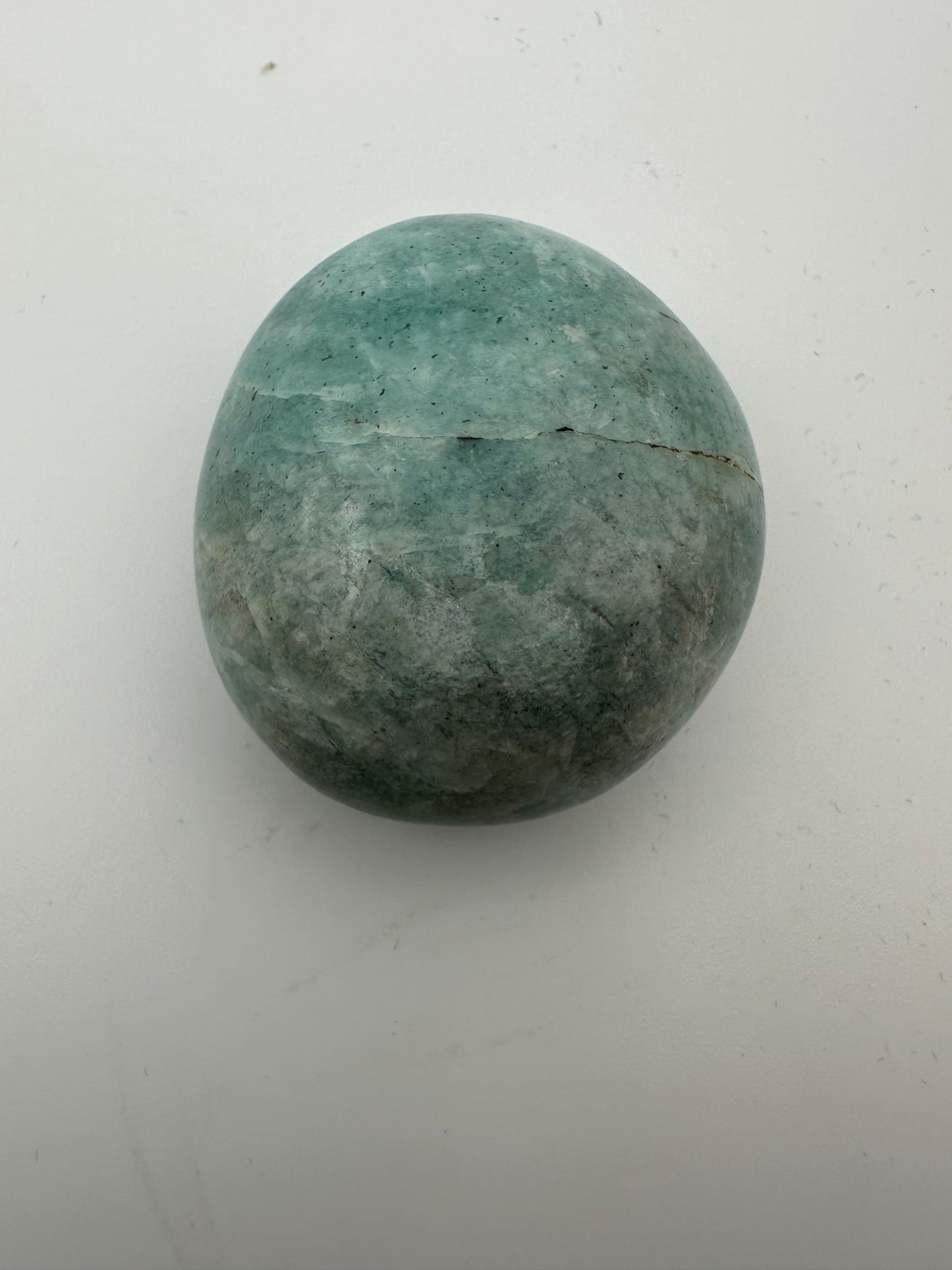 Large Amazonite Palm