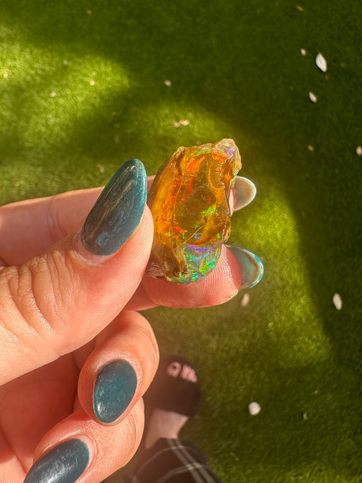 Ethiopian Water Opal C