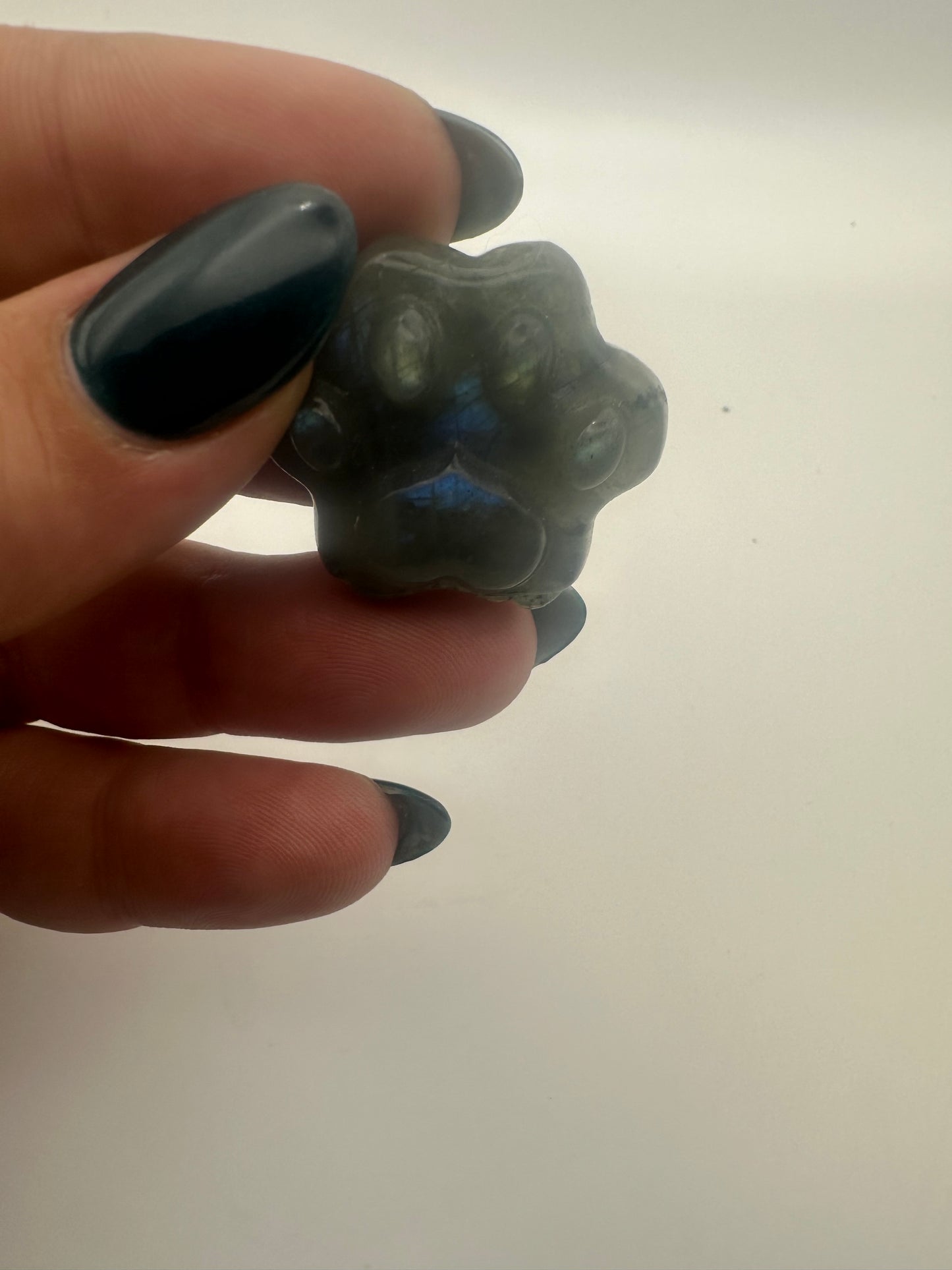 Labradorite Paw Print