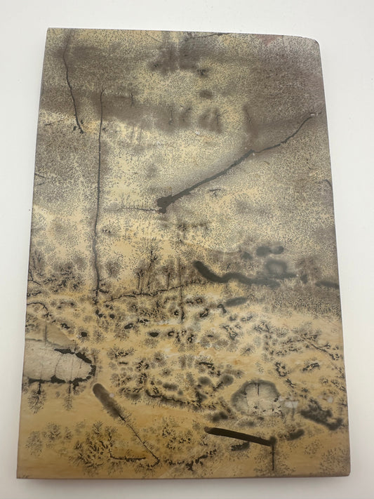 Picture Jasper Slab