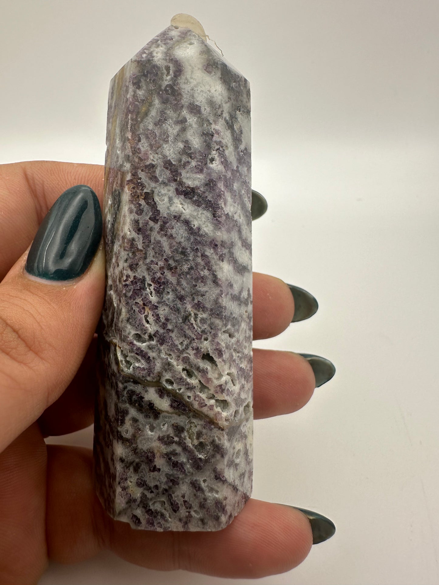 Purple Zebra Point
