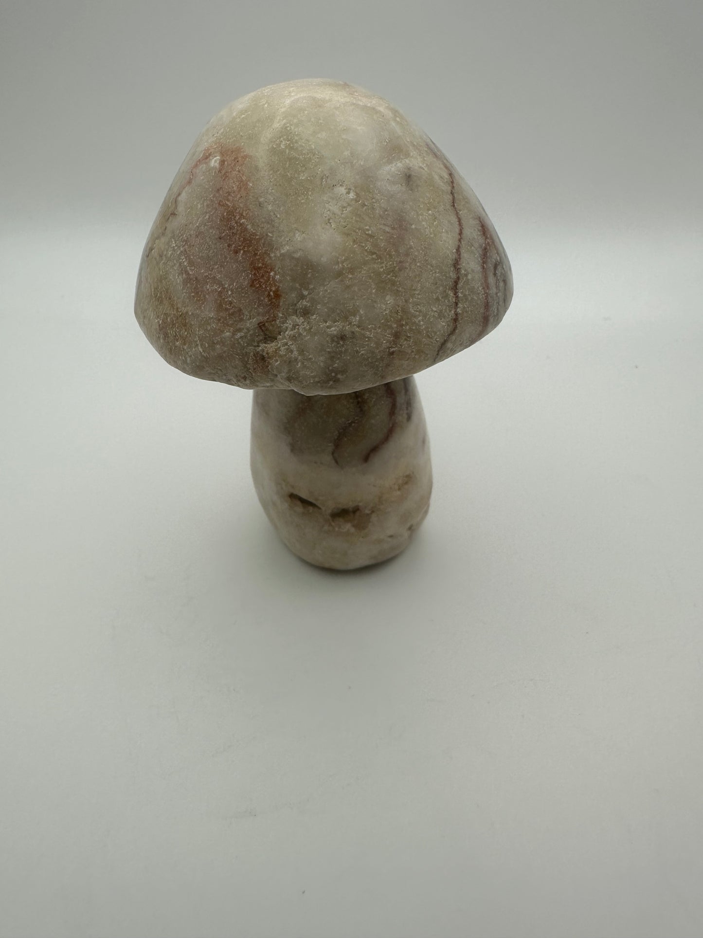 Pork Stone Mushroom Carving