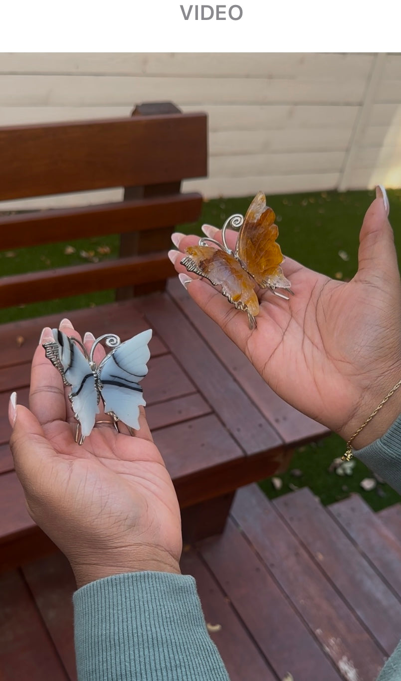 Butterflies